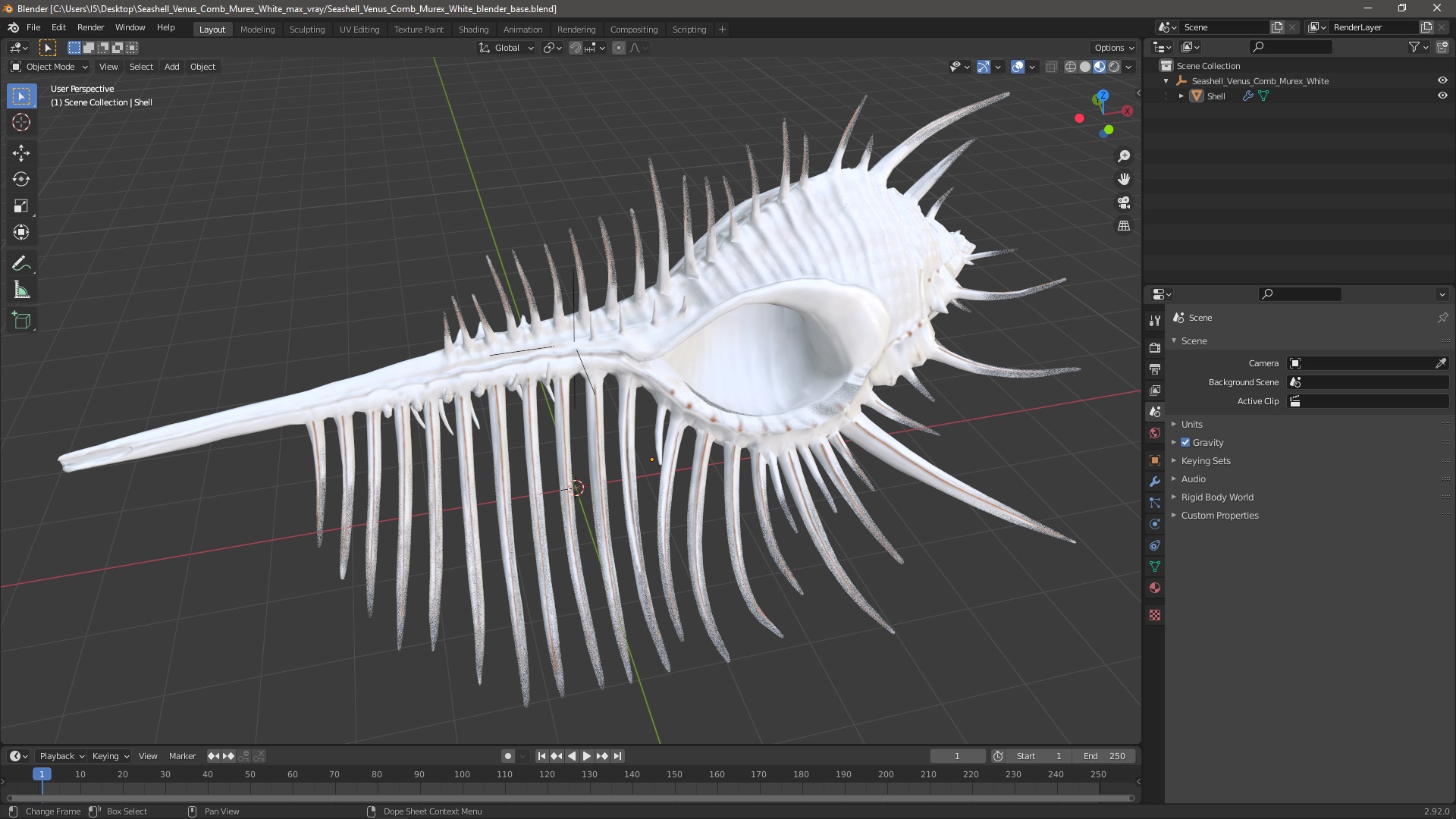 3D Seashell Venus Comb Murex White