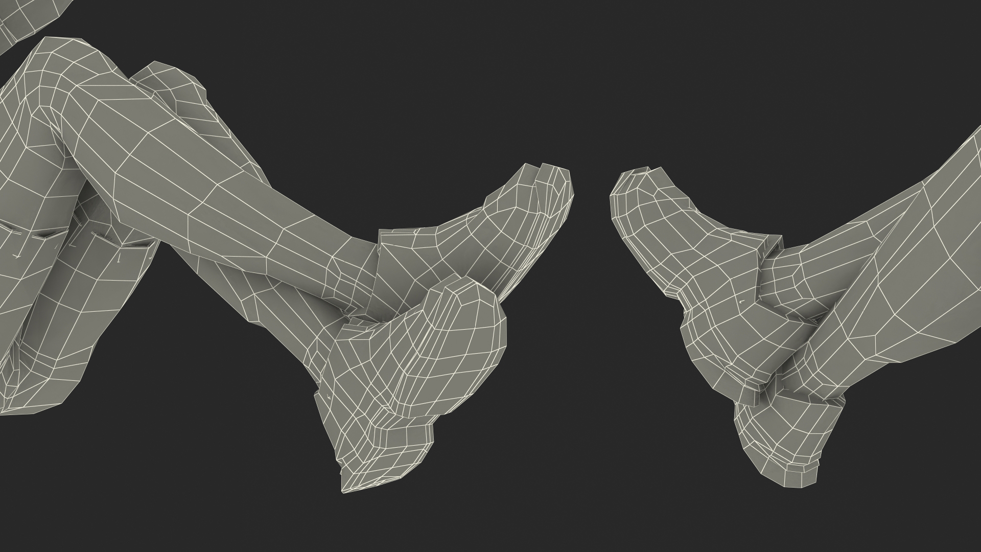 Fitness Trainer Rigged 3D