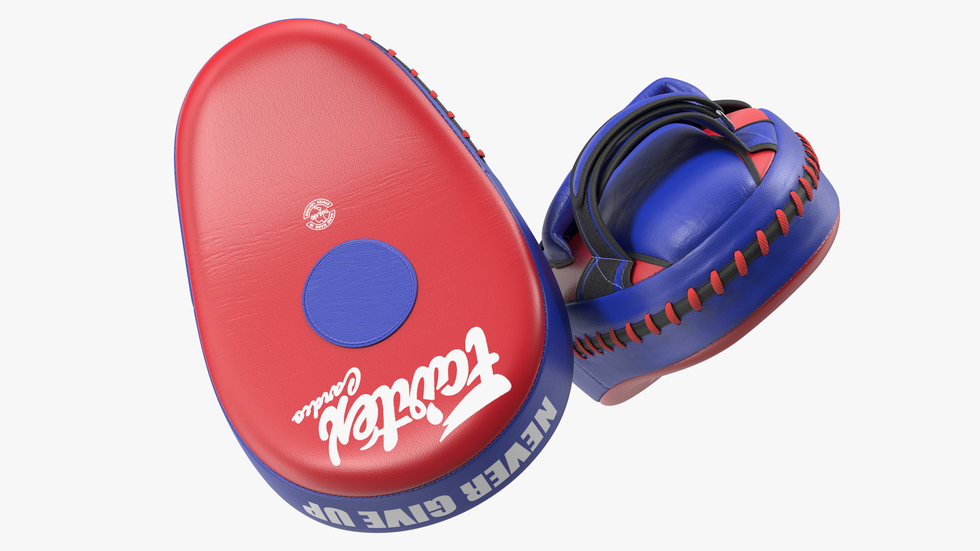 3D model Fairtex FMV13 Maximised Focus Mitts