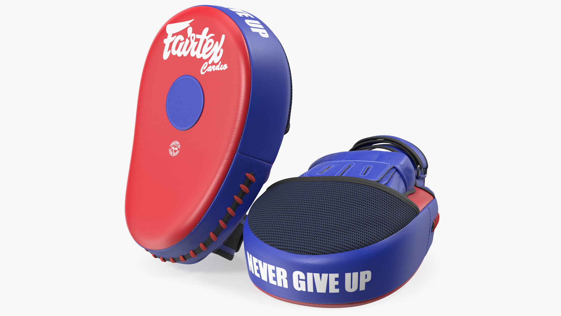 3D model Fairtex FMV13 Maximised Focus Mitts