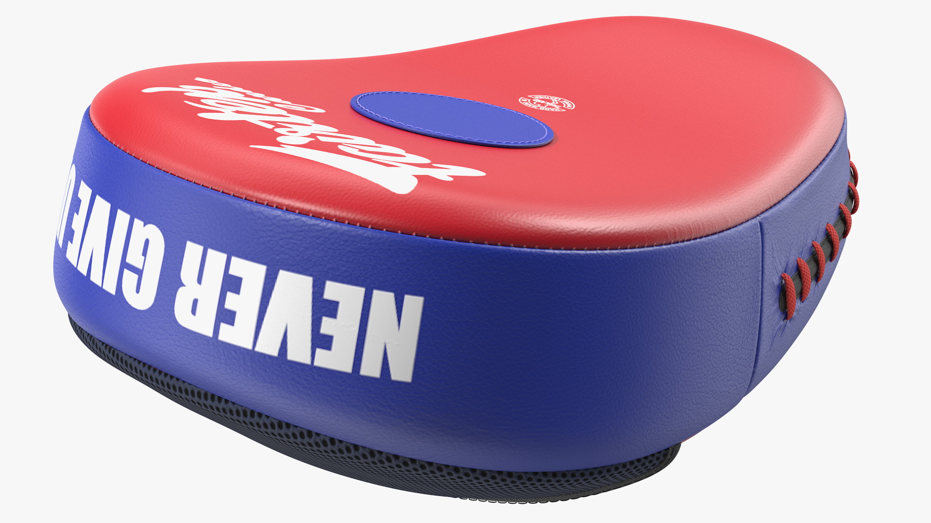 3D model Fairtex FMV13 Maximised Focus Mitts
