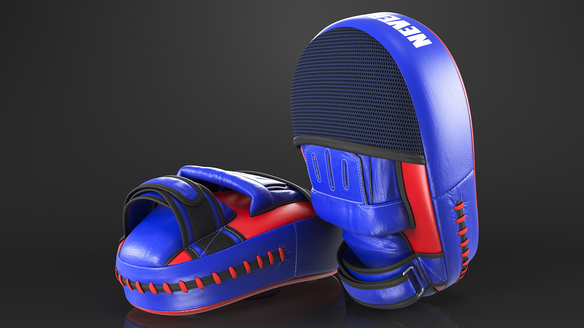 3D model Fairtex FMV13 Maximised Focus Mitts