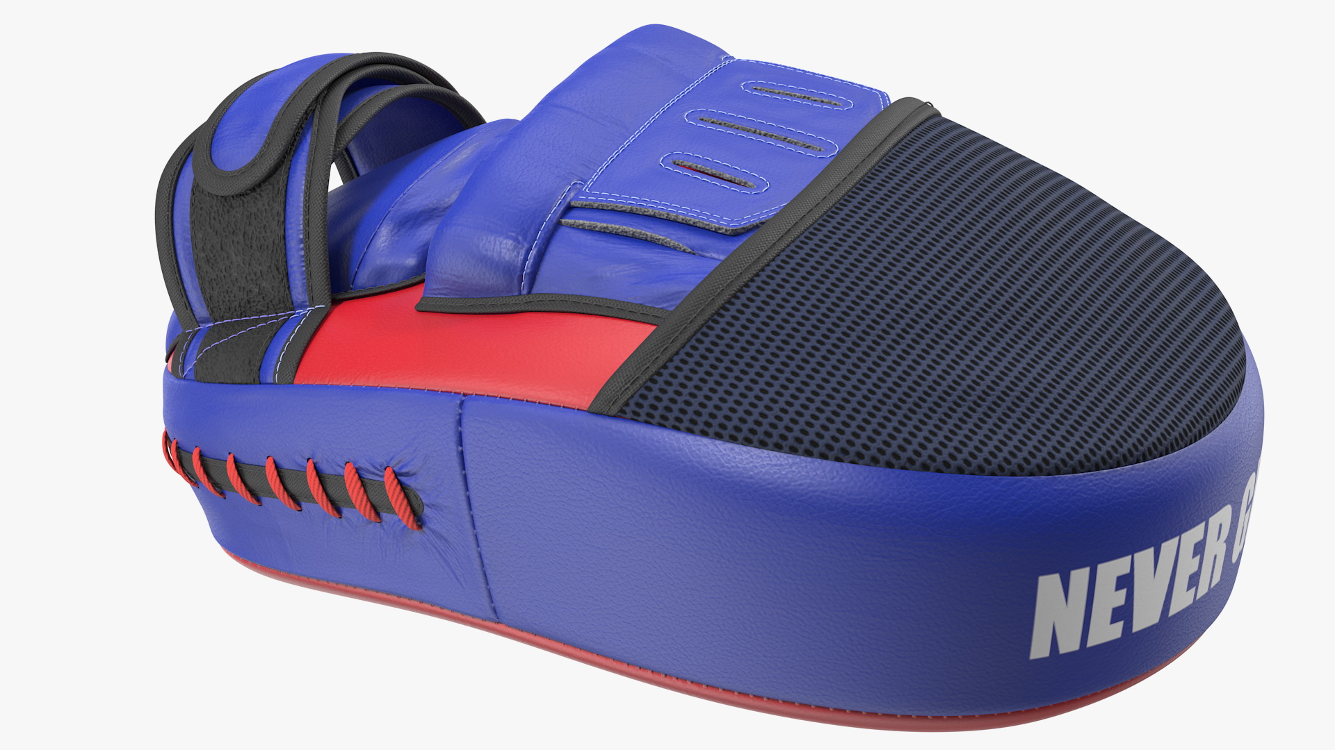 3D model Fairtex FMV13 Maximised Focus Mitts