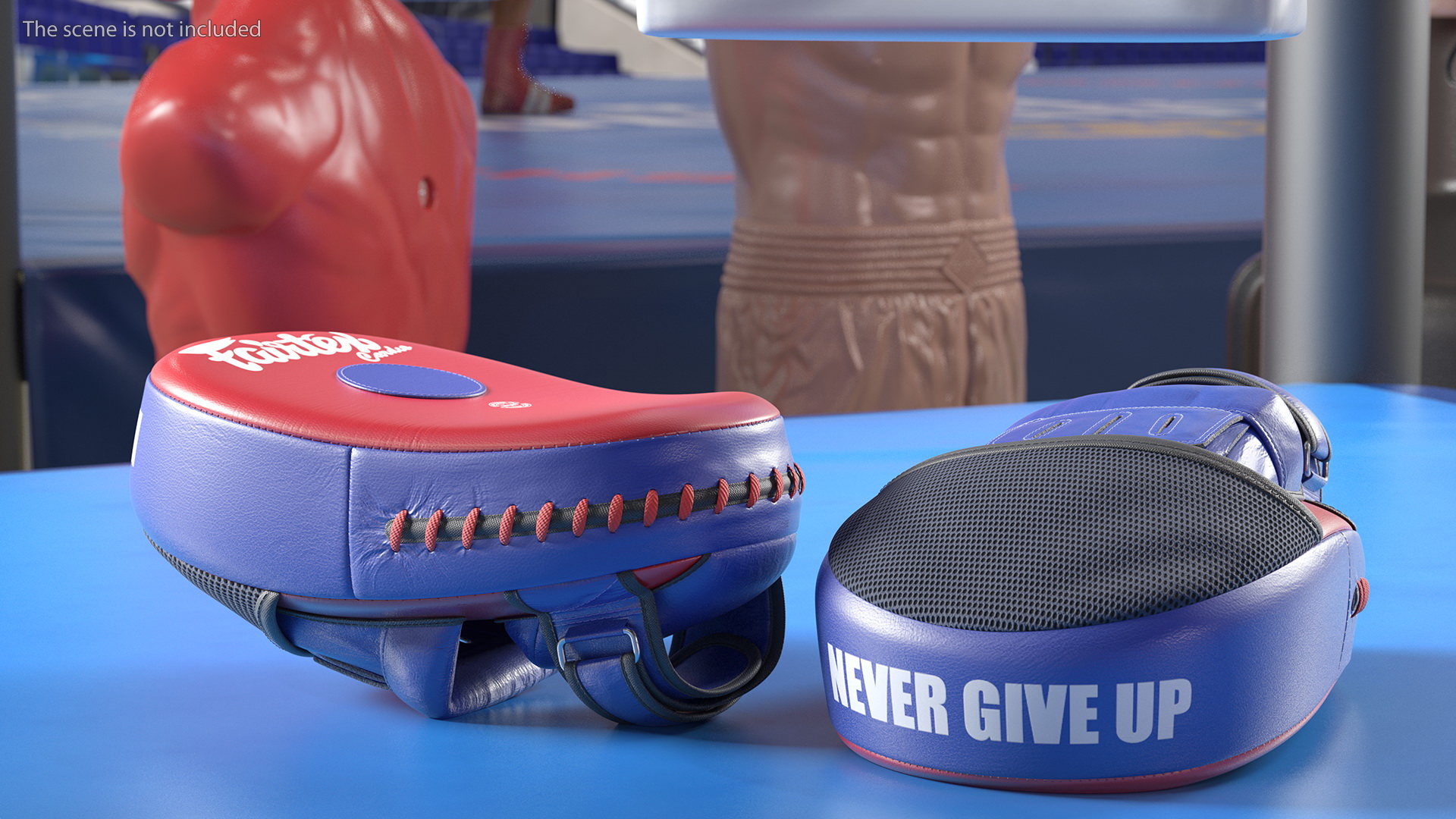 3D model Fairtex FMV13 Maximised Focus Mitts