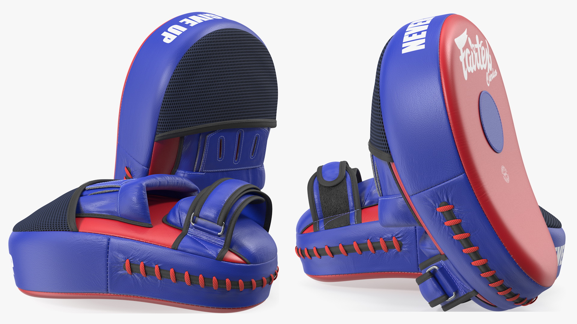 3D model Fairtex FMV13 Maximised Focus Mitts