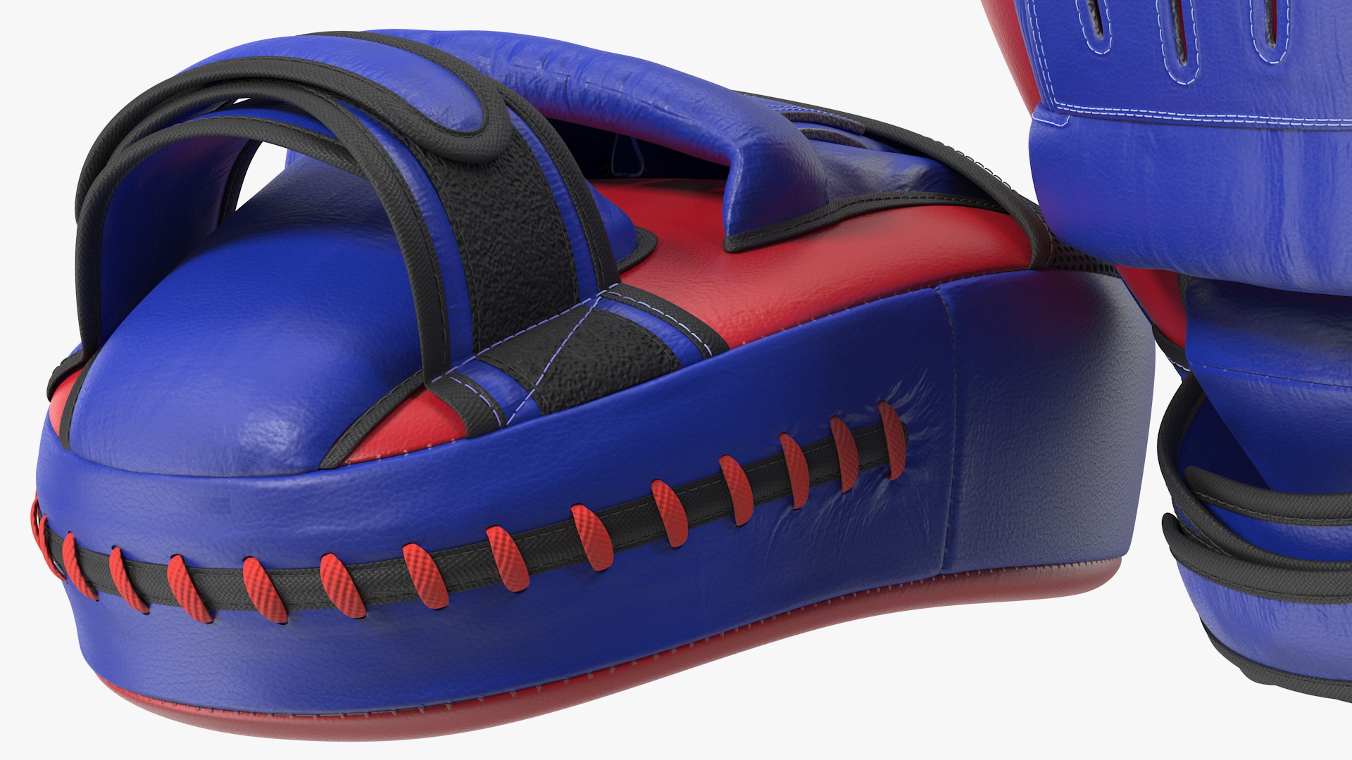 3D model Fairtex FMV13 Maximised Focus Mitts