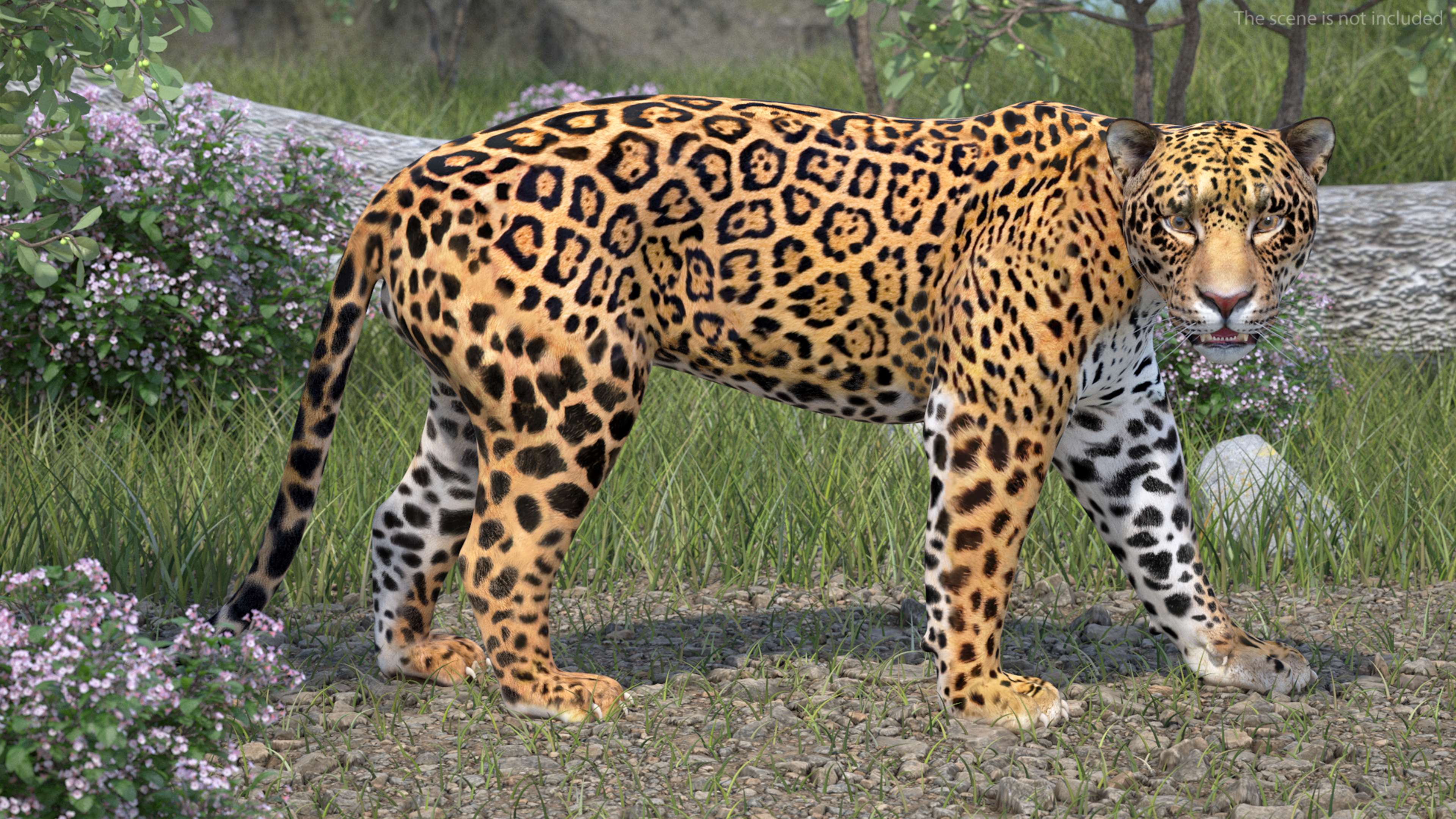 Jaguar Walking Pose 3D model