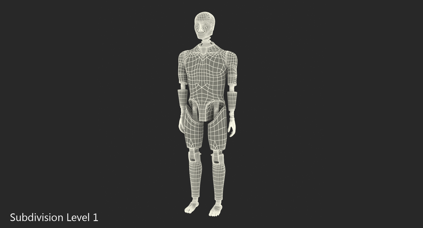 3D model Crash Test Dummy Standing Pose