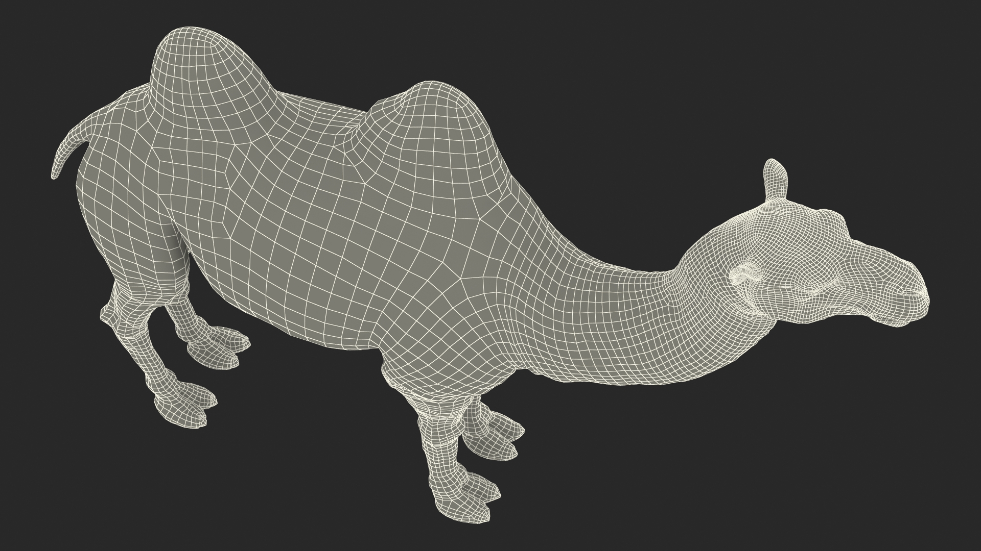3D Bactrian Camel Light Colored model