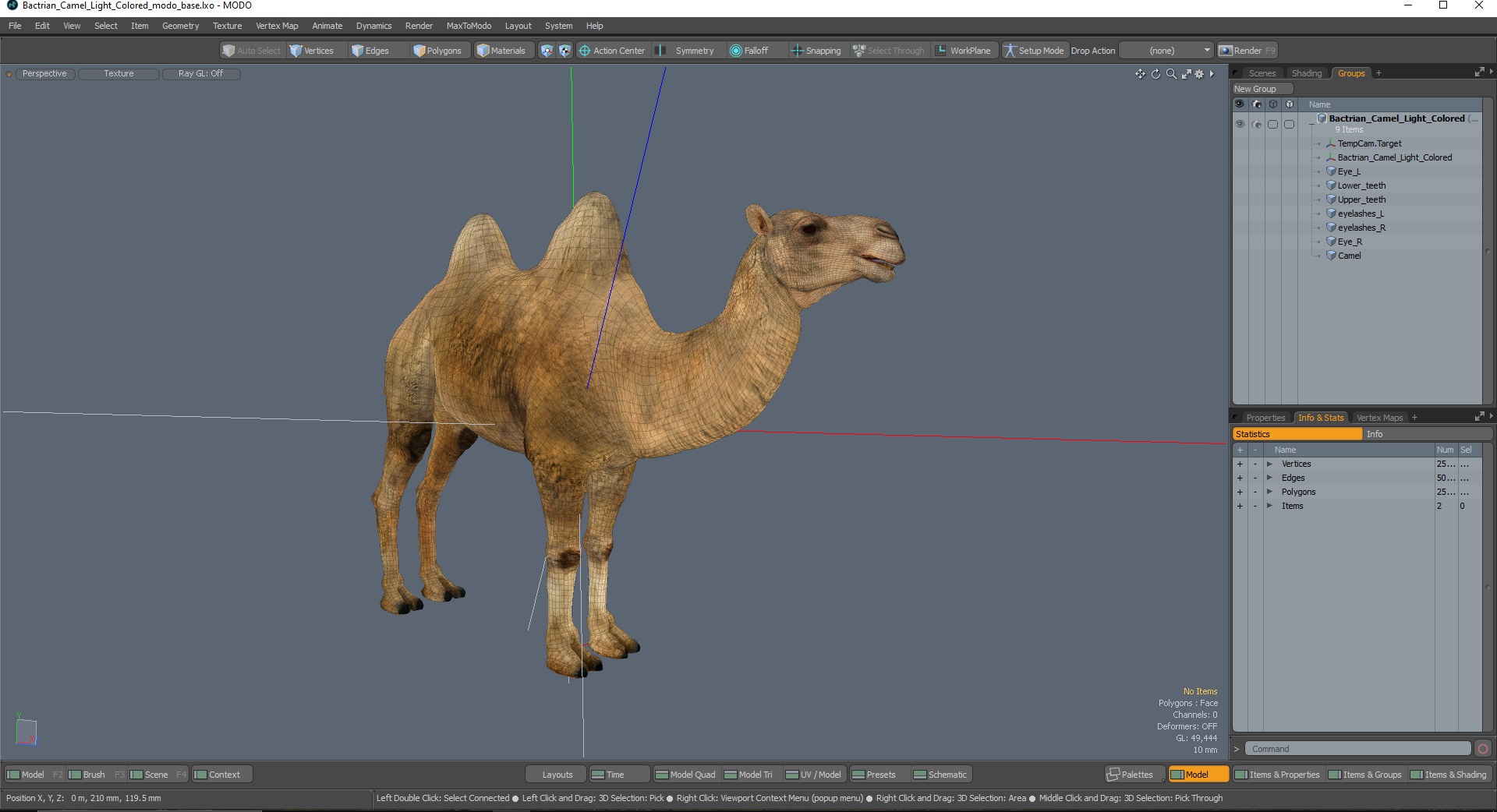 3D Bactrian Camel Light Colored model