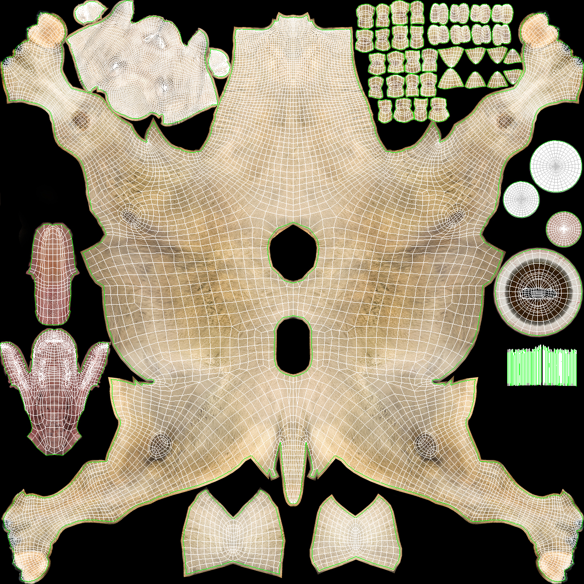 3D Bactrian Camel Light Colored model