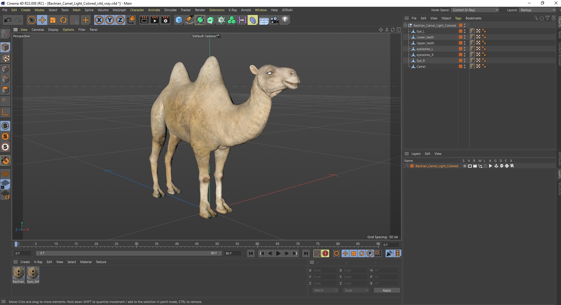 3D Bactrian Camel Light Colored model