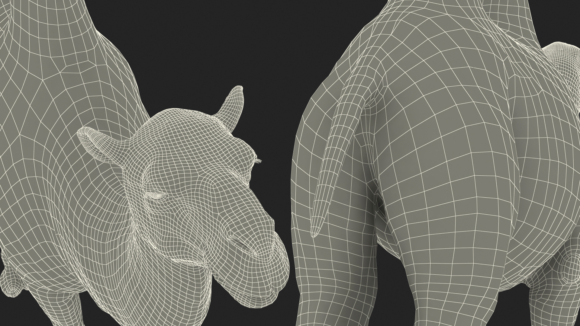 3D Bactrian Camel Light Colored model