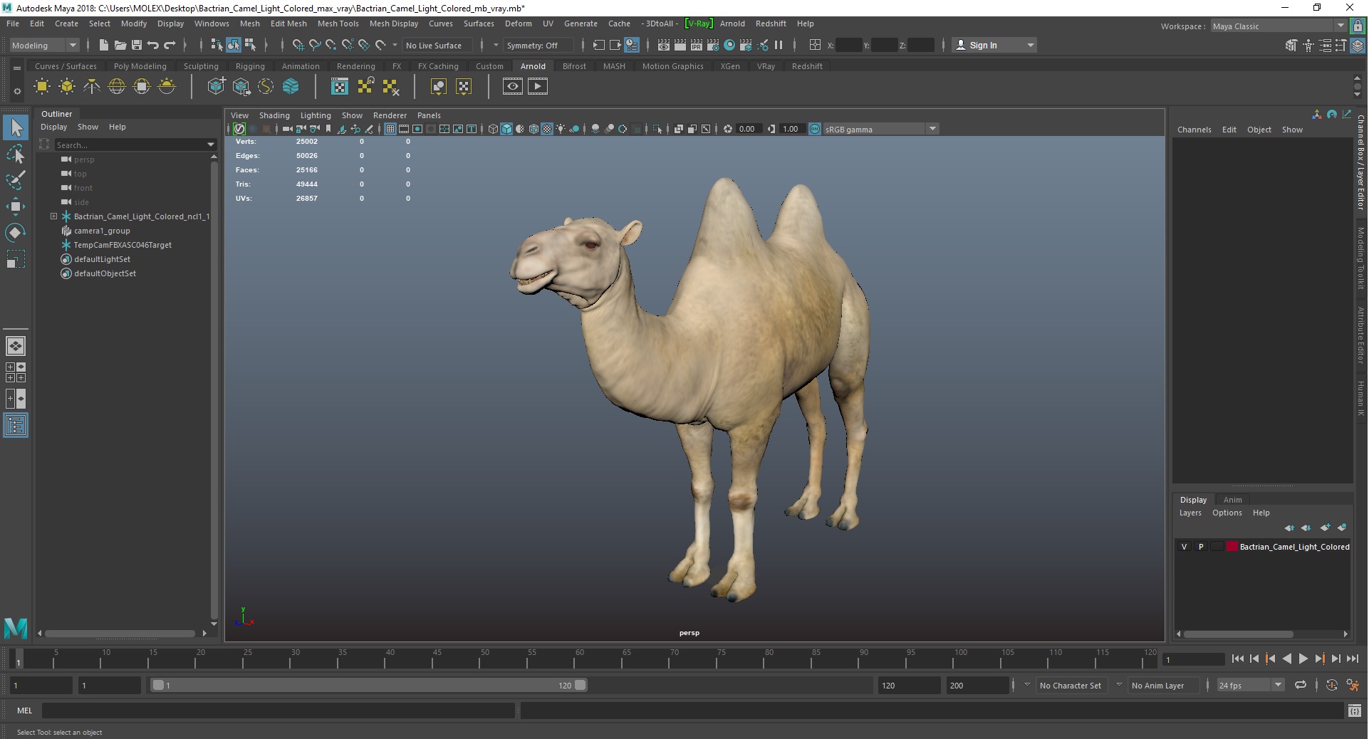3D Bactrian Camel Light Colored model