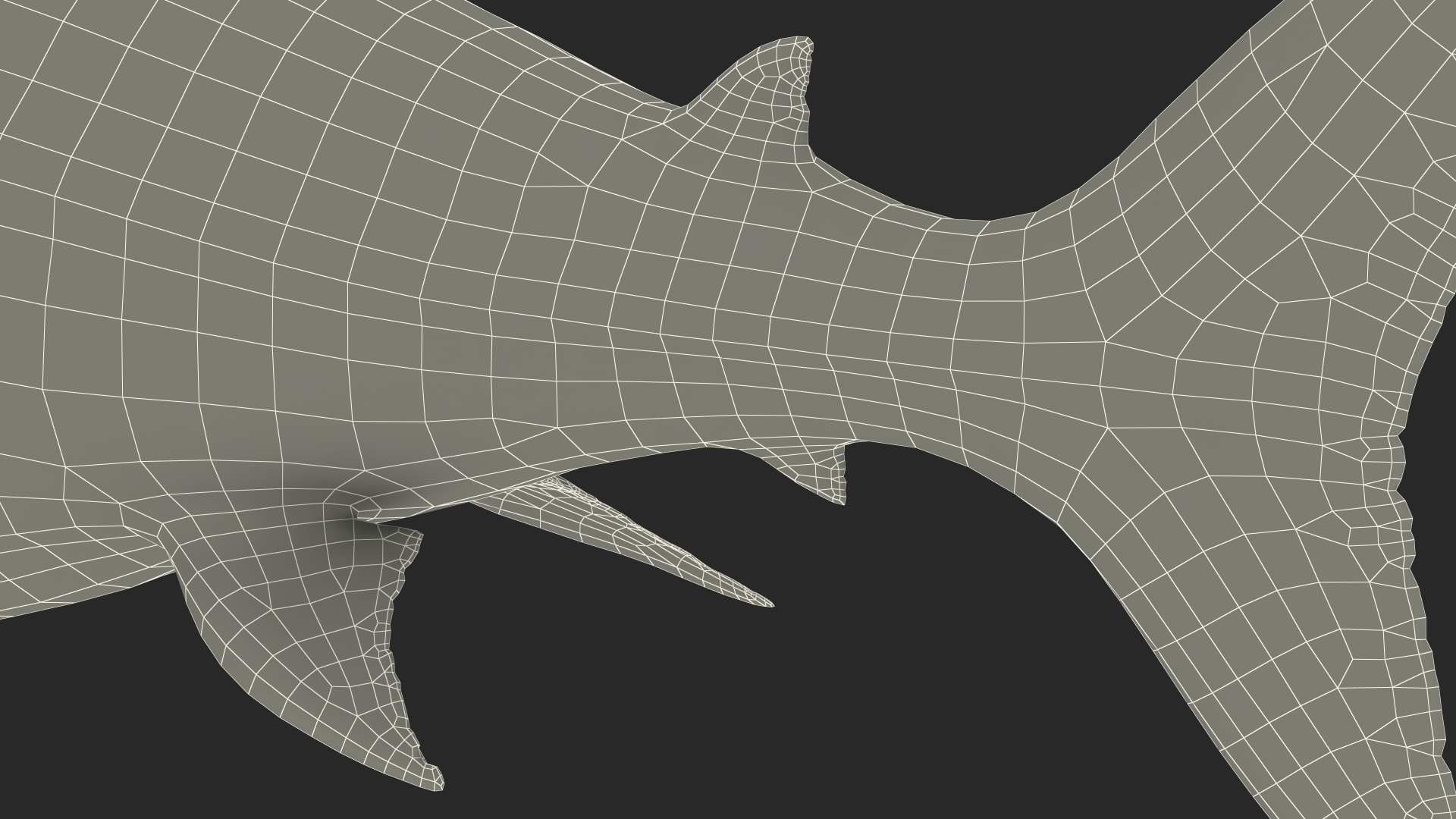 Ancient Megashark Rigged 3D model