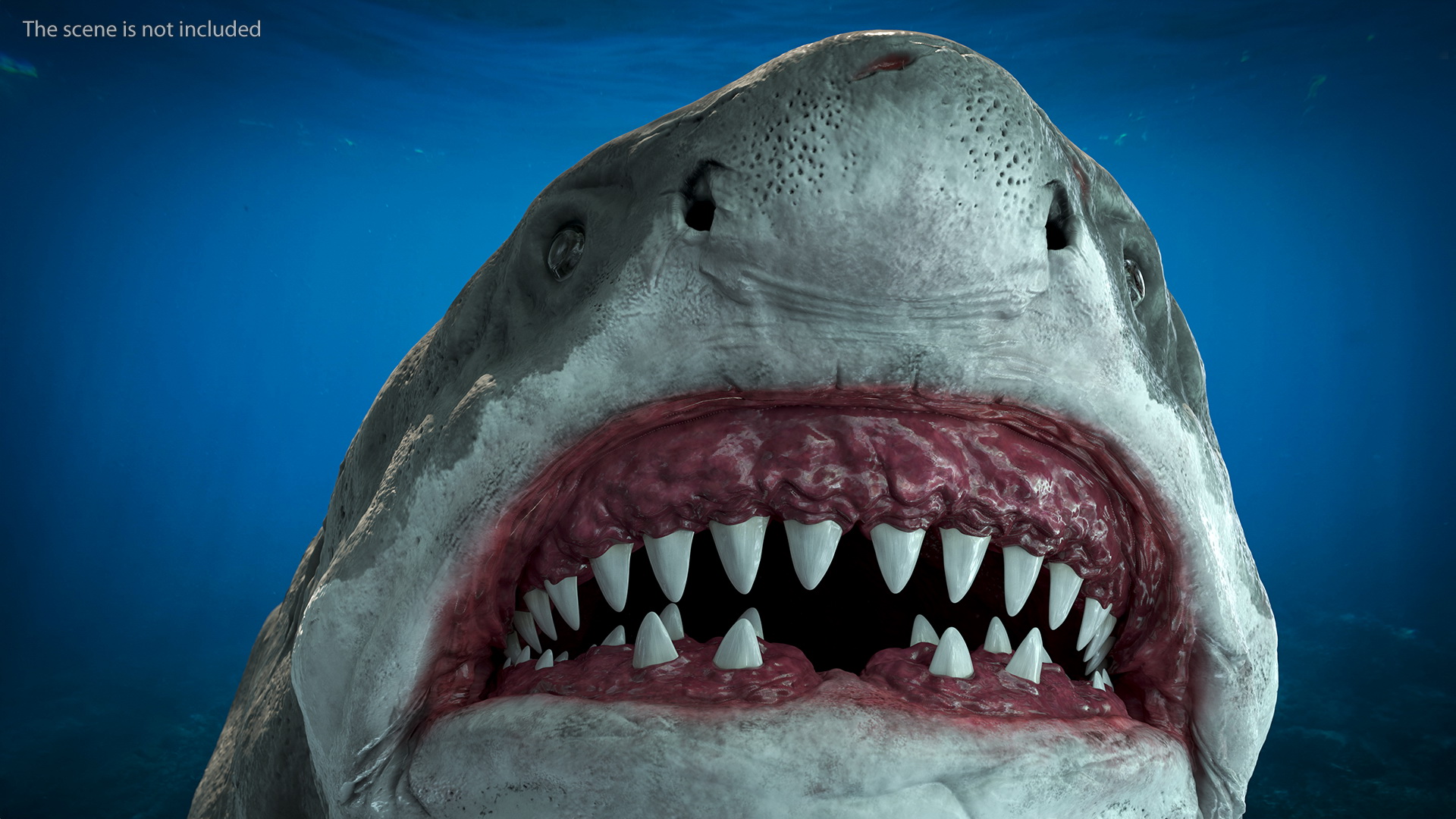 Ancient Megashark Rigged 3D model