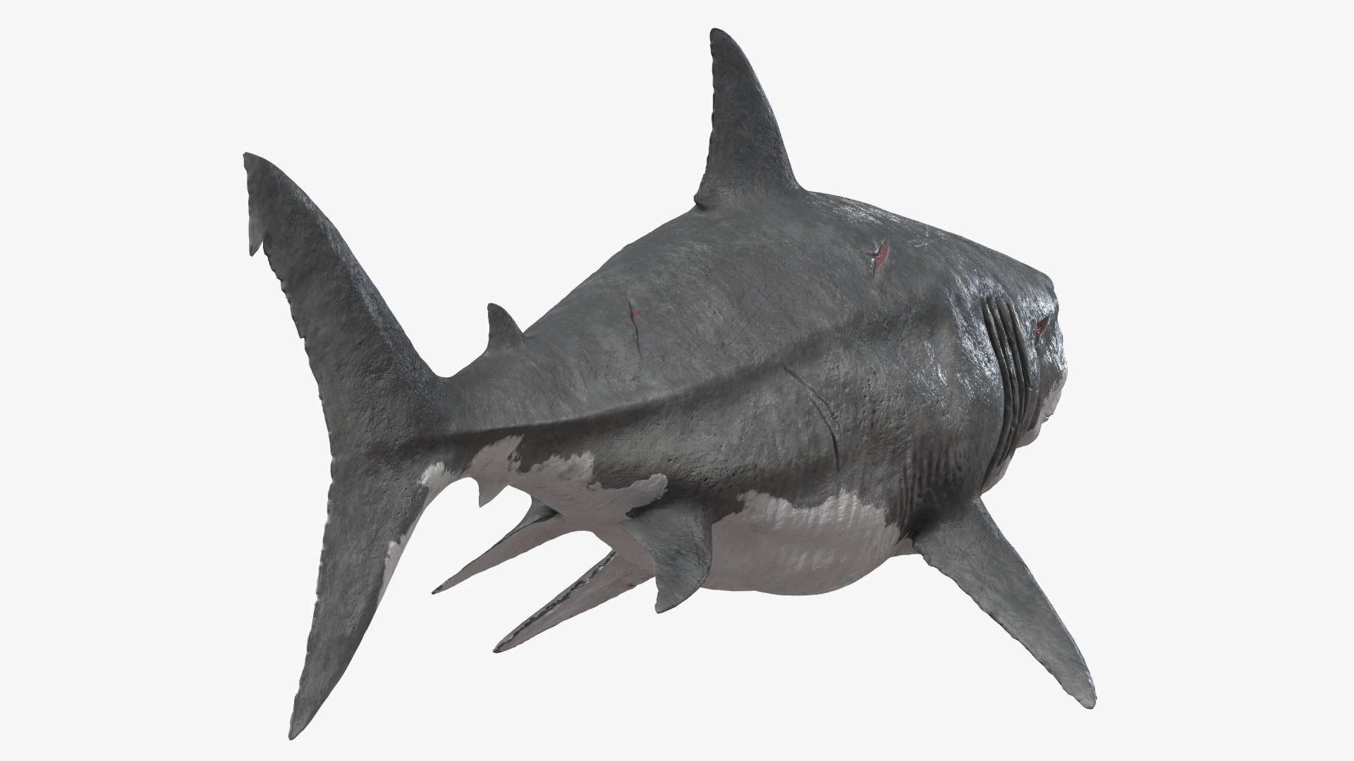 Ancient Megashark Rigged 3D model