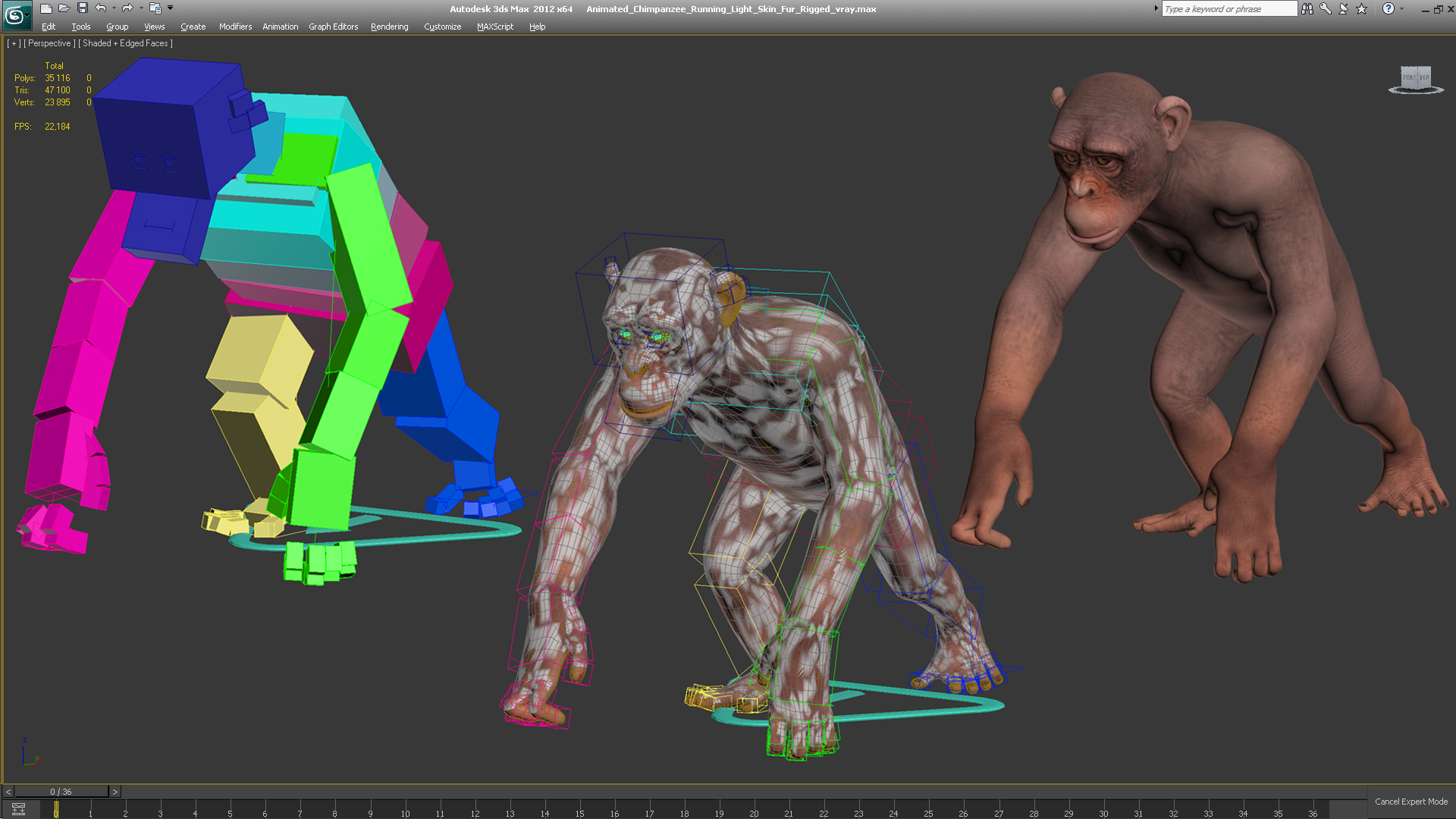 Animated Chimpanzee Running Light Skin Fur Rigged 3D model