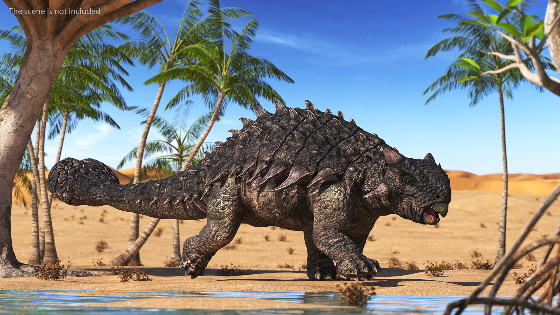 Ankylosaurus Tropical in Walking Pose 3D