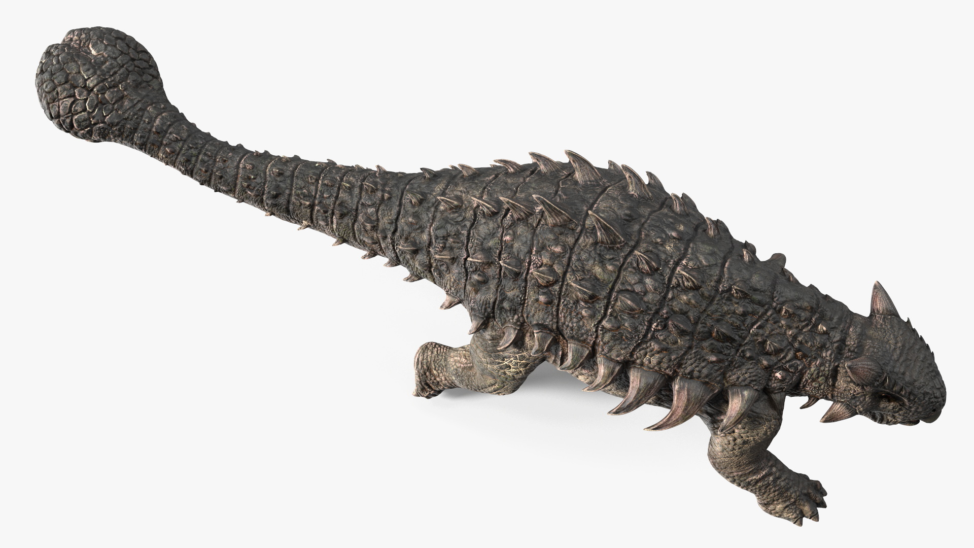 Ankylosaurus Tropical in Walking Pose 3D
