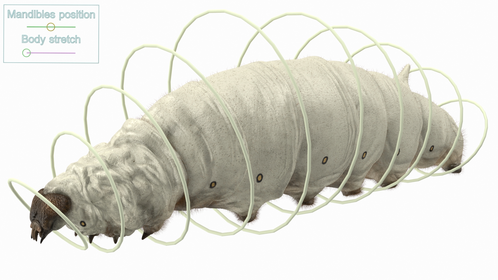 3D model Silkworm White Fur Rigged