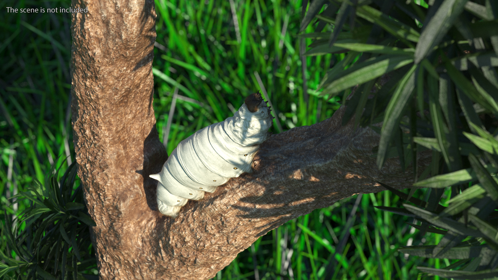 3D model Silkworm White Fur Rigged