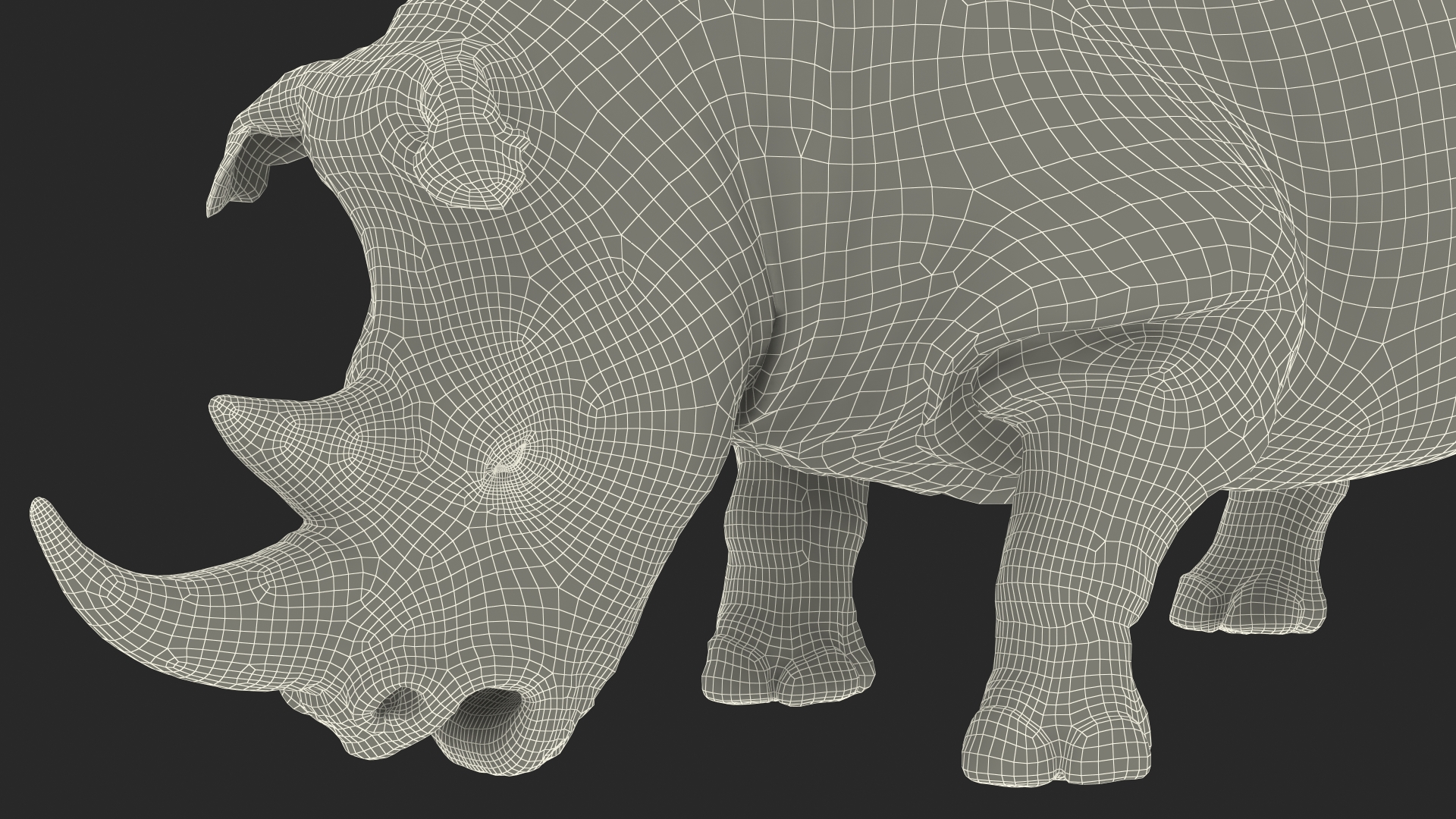 3D model Adult Rhino Drinking Pose