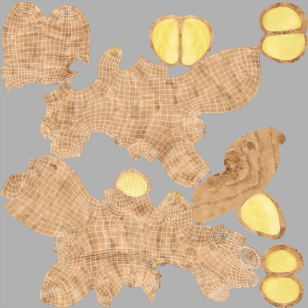 Ginger Without Part 3D model