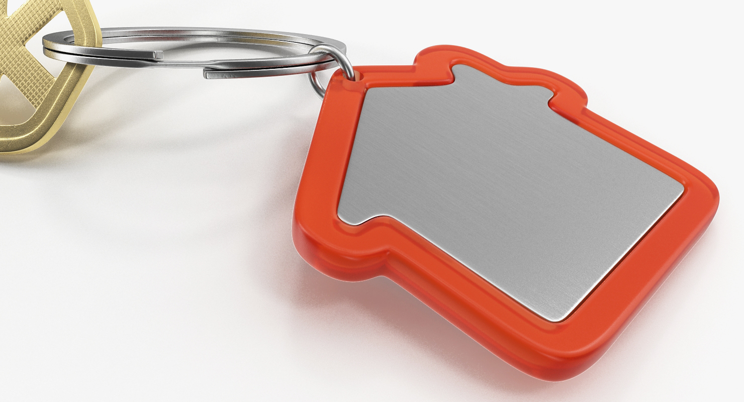 3D Bronse Home Key With House Figure model