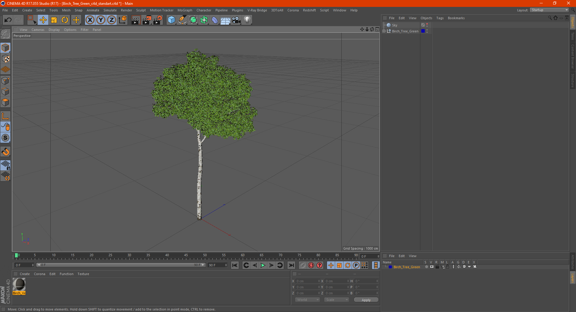 3D Birch Tree Green