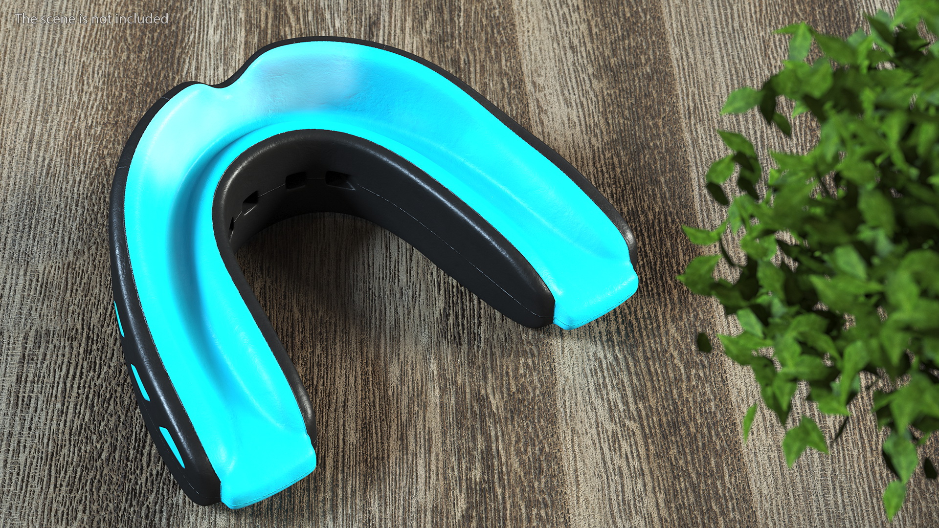 Double Mouthguard with Case 3D