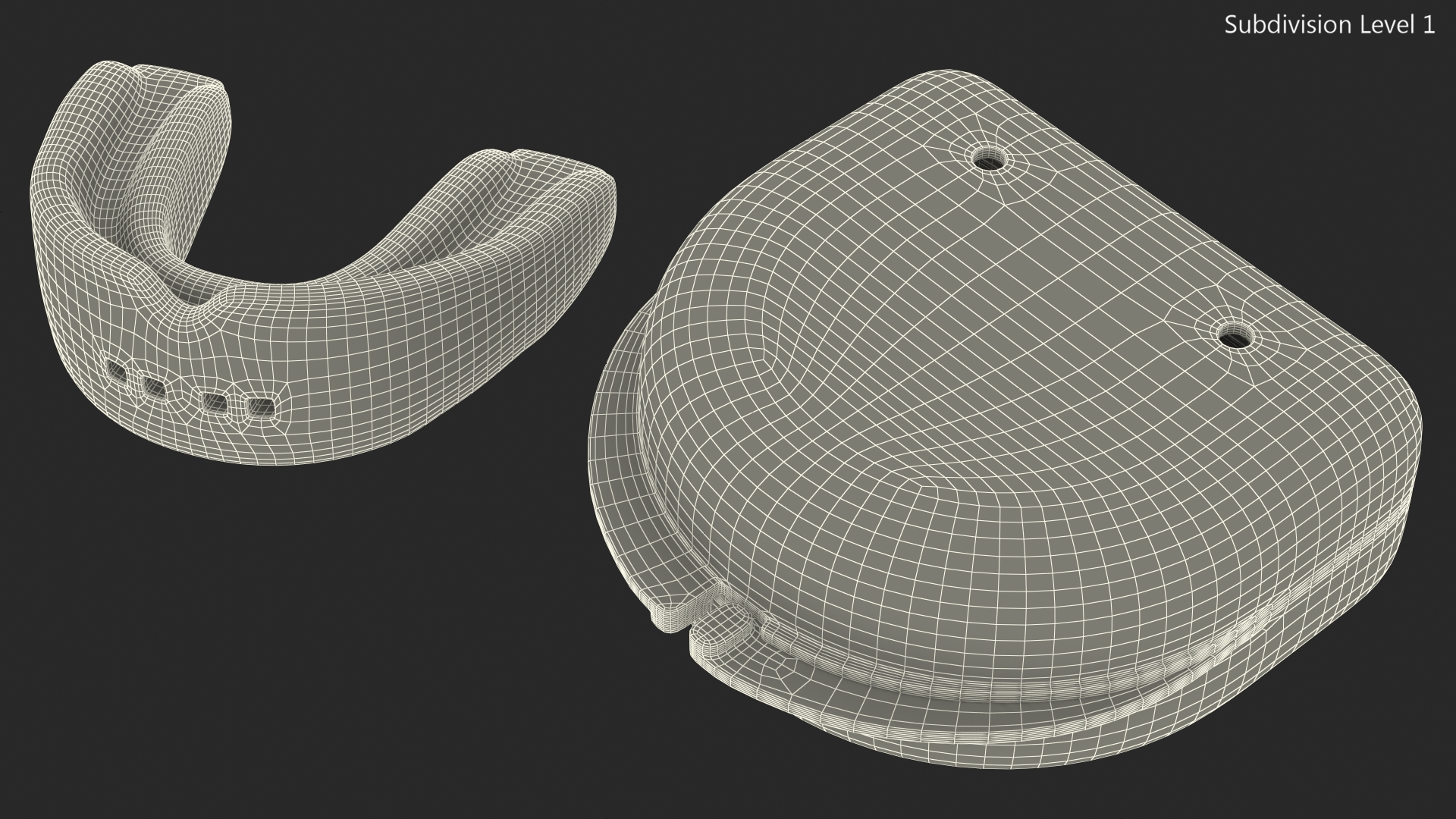 Double Mouthguard with Case 3D