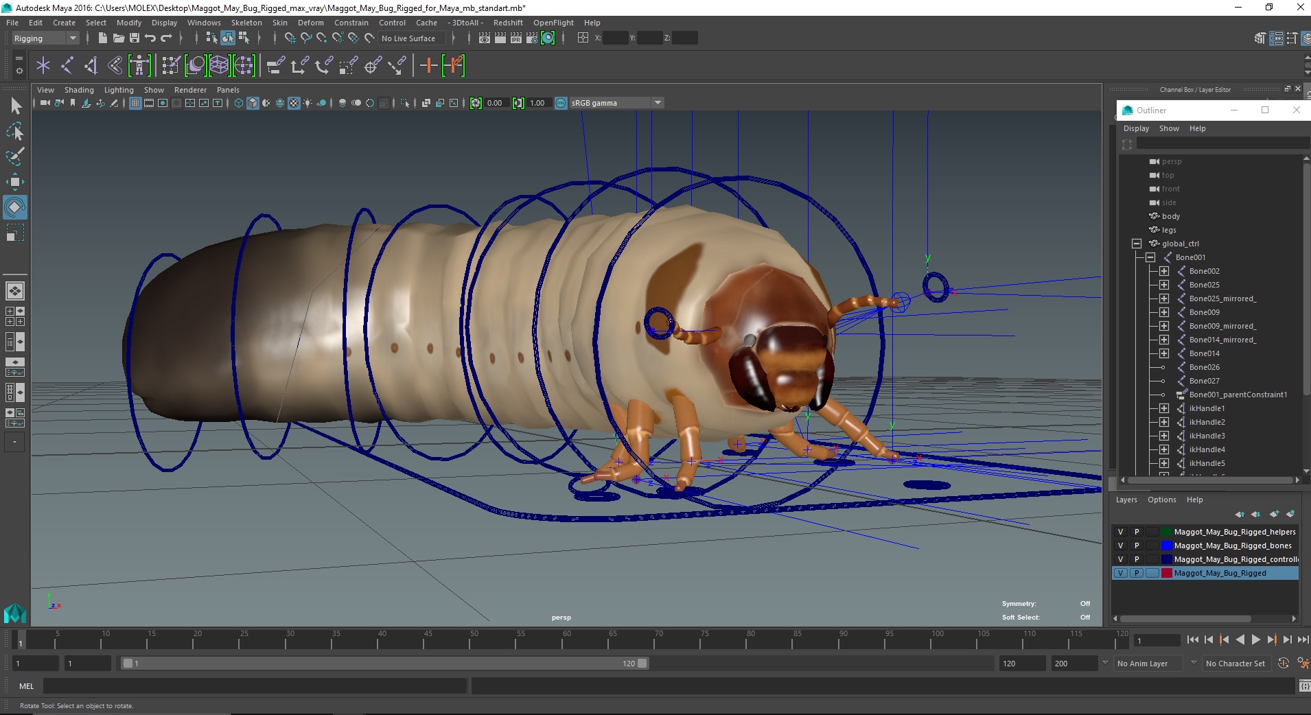3D model Maggot May Bug Rigged for Maya
