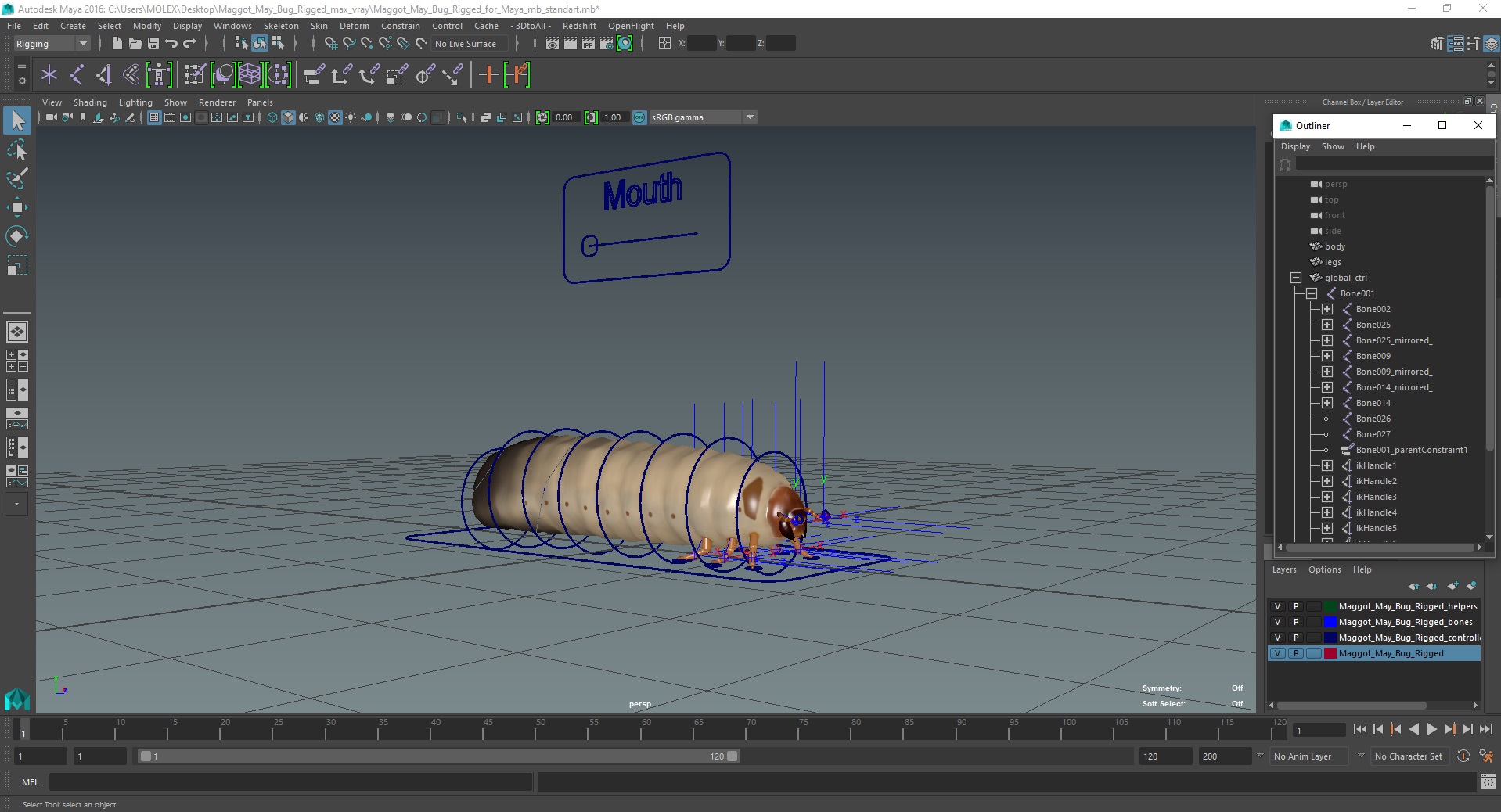 3D model Maggot May Bug Rigged for Maya