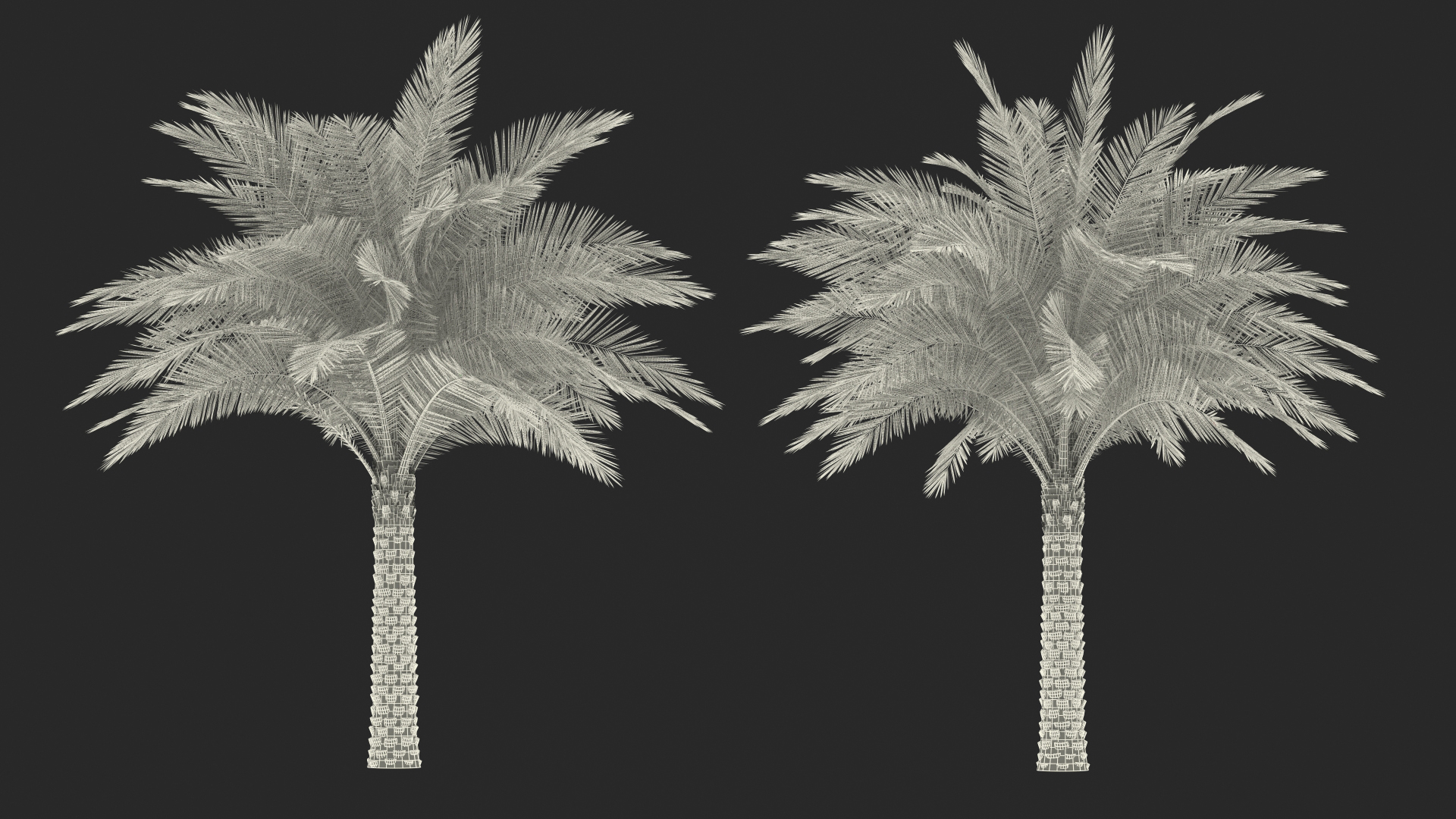 3D Silver Date Palm