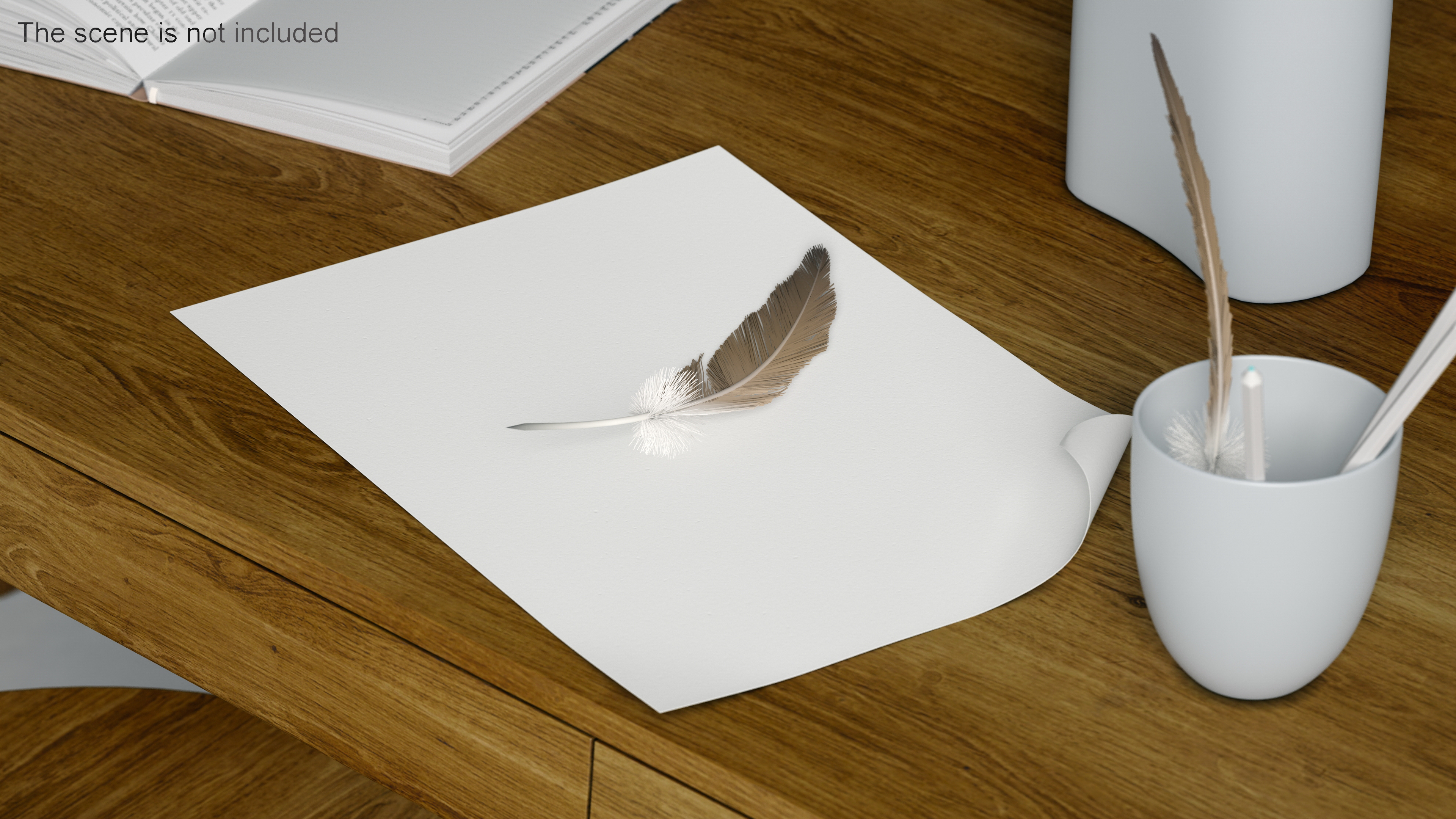 Paper With Corner Curl 3D