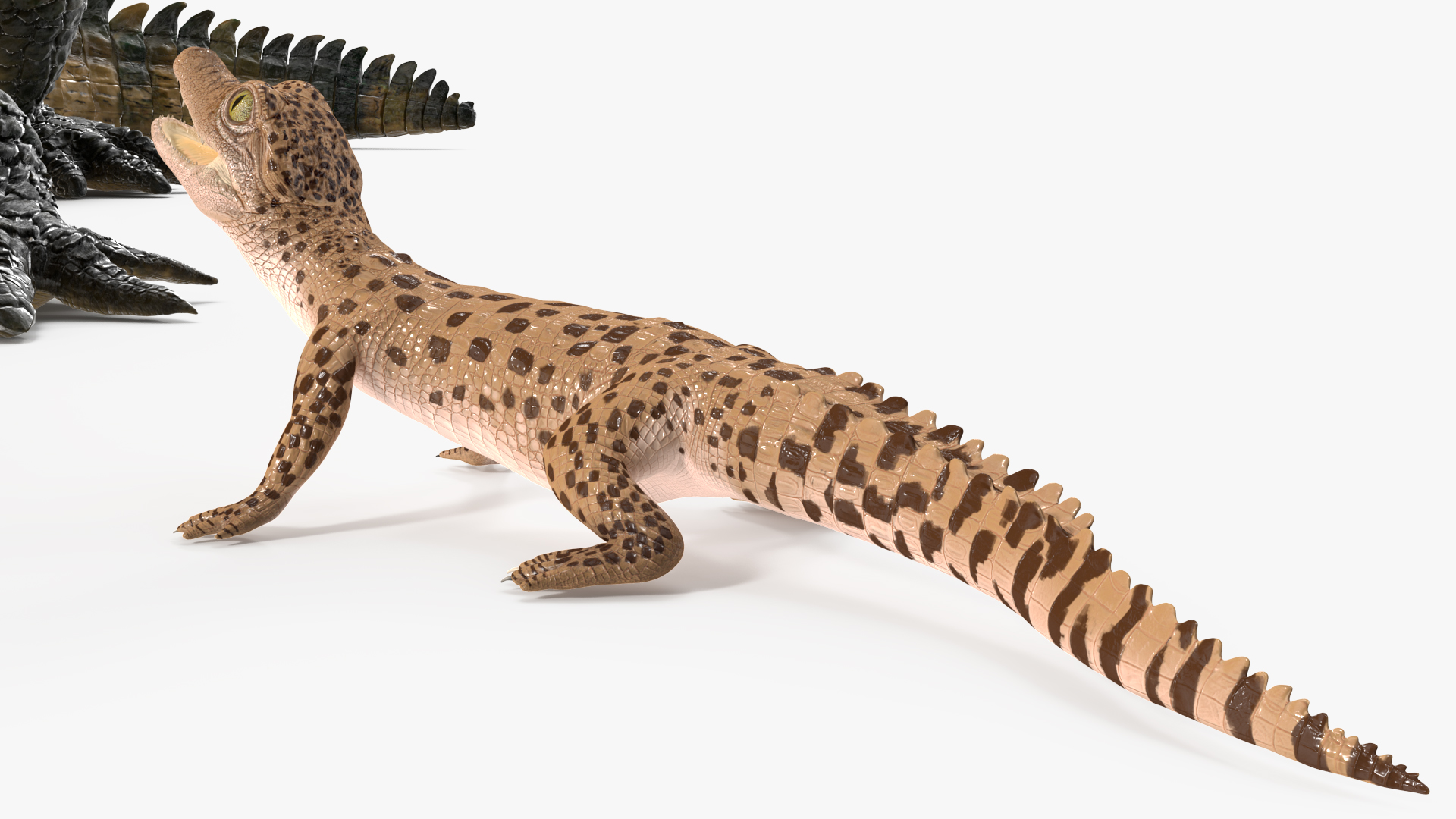 3D model Mother Crocodile Carrying Baby
