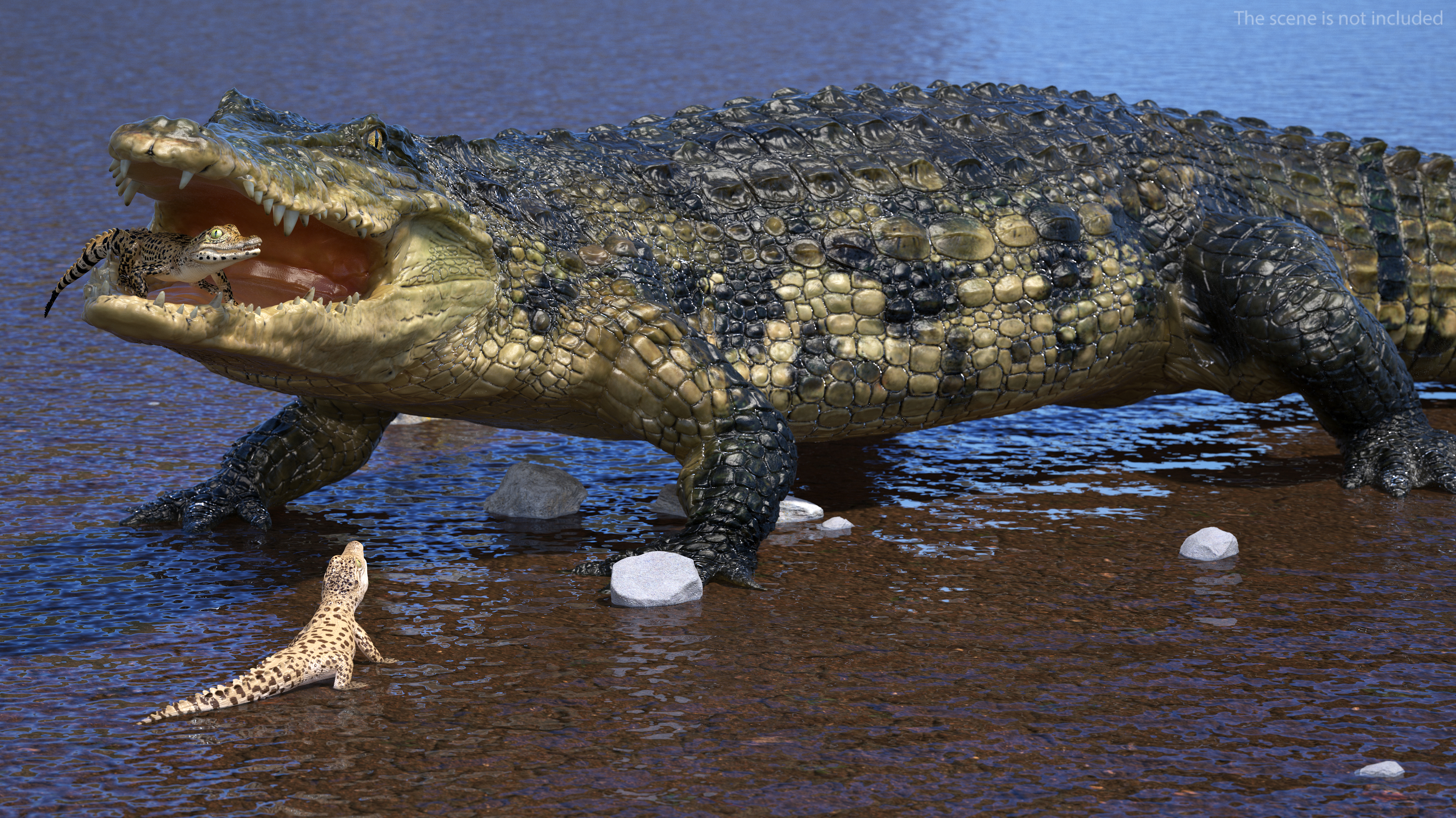 3D model Mother Crocodile Carrying Baby