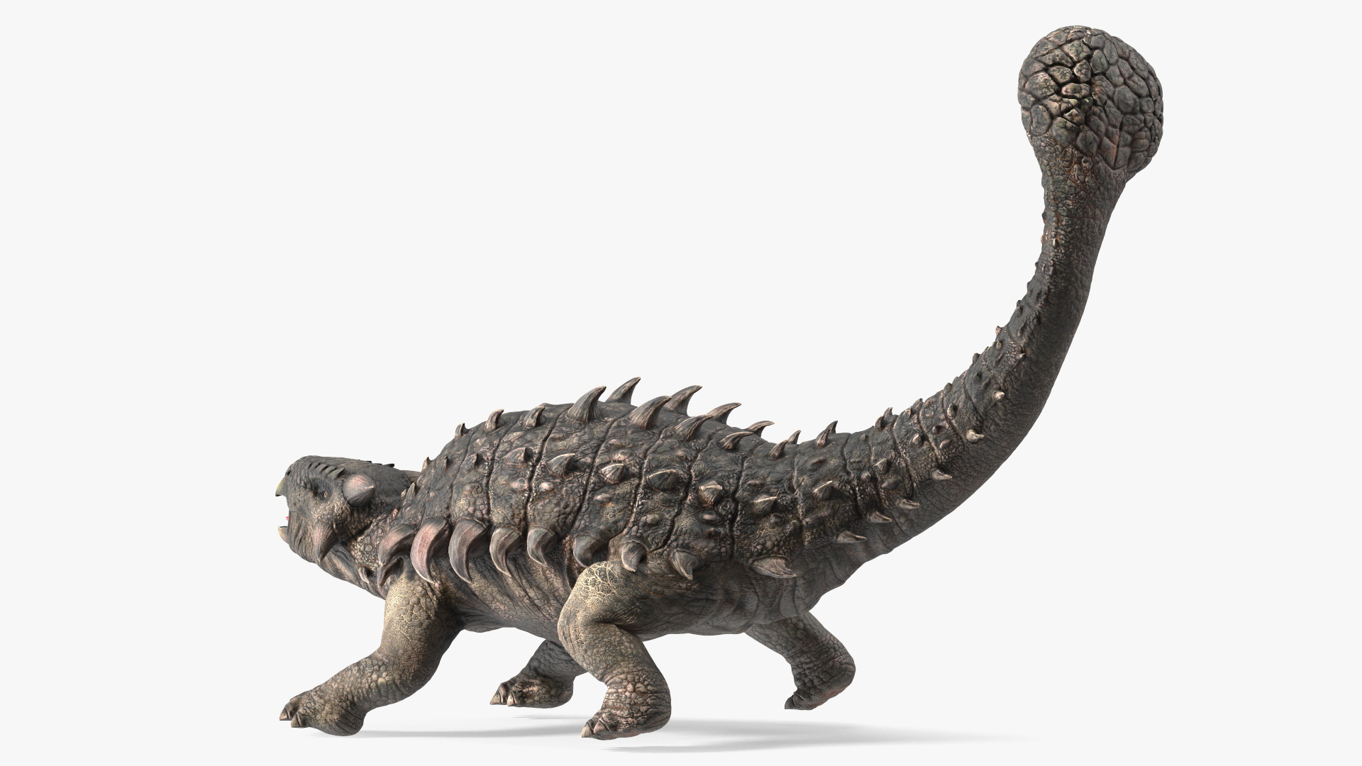 3D Ankylosaurus Tropical in Attack Pose