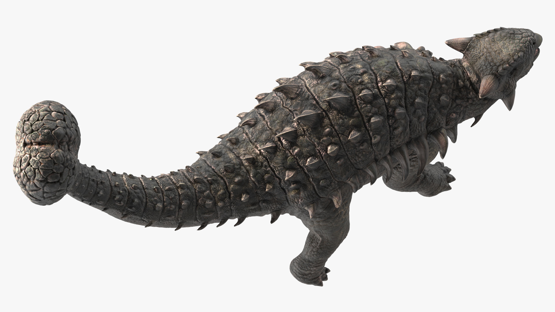 3D Ankylosaurus Tropical in Attack Pose