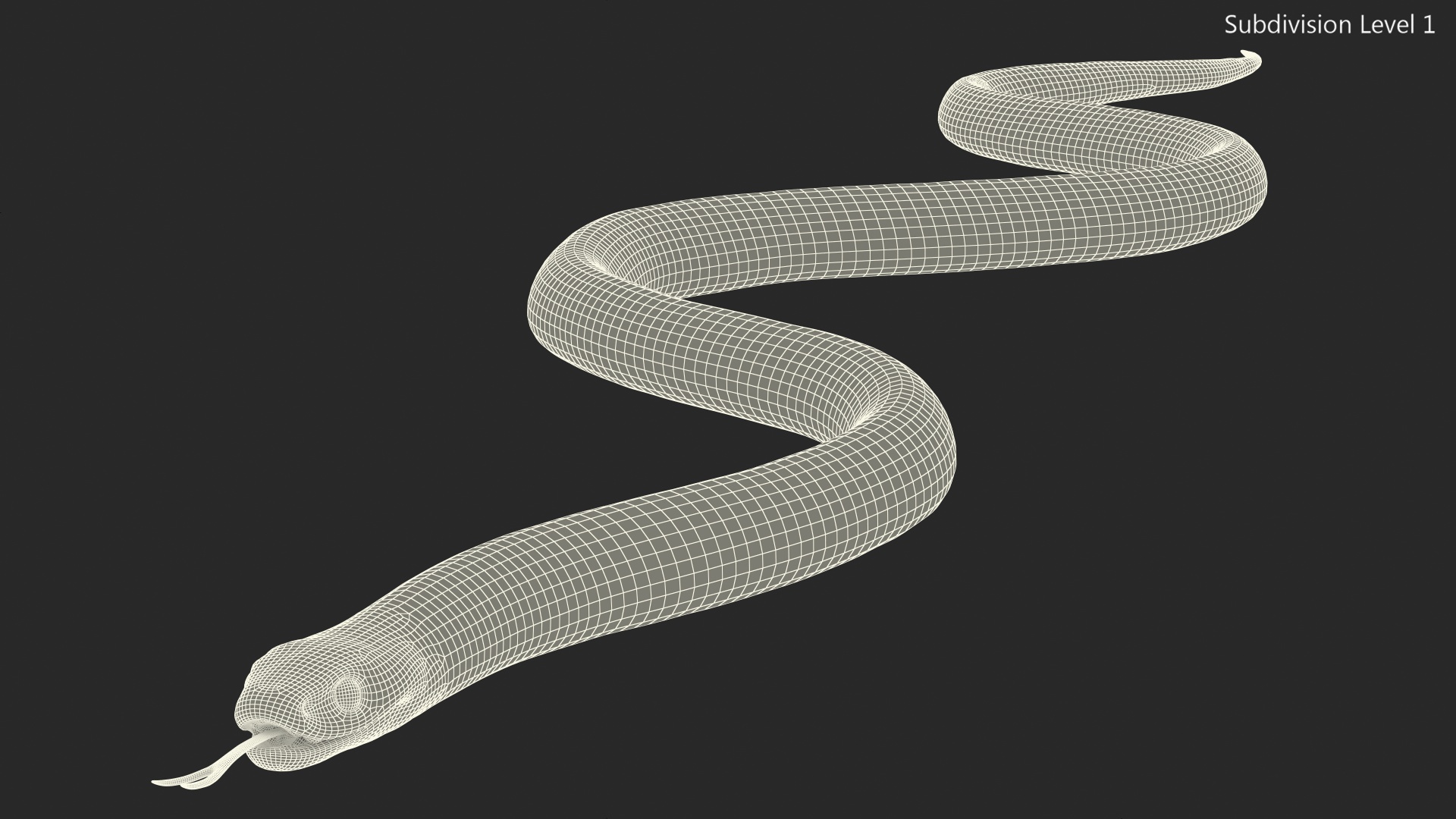 Eastern Kingsnake 3D