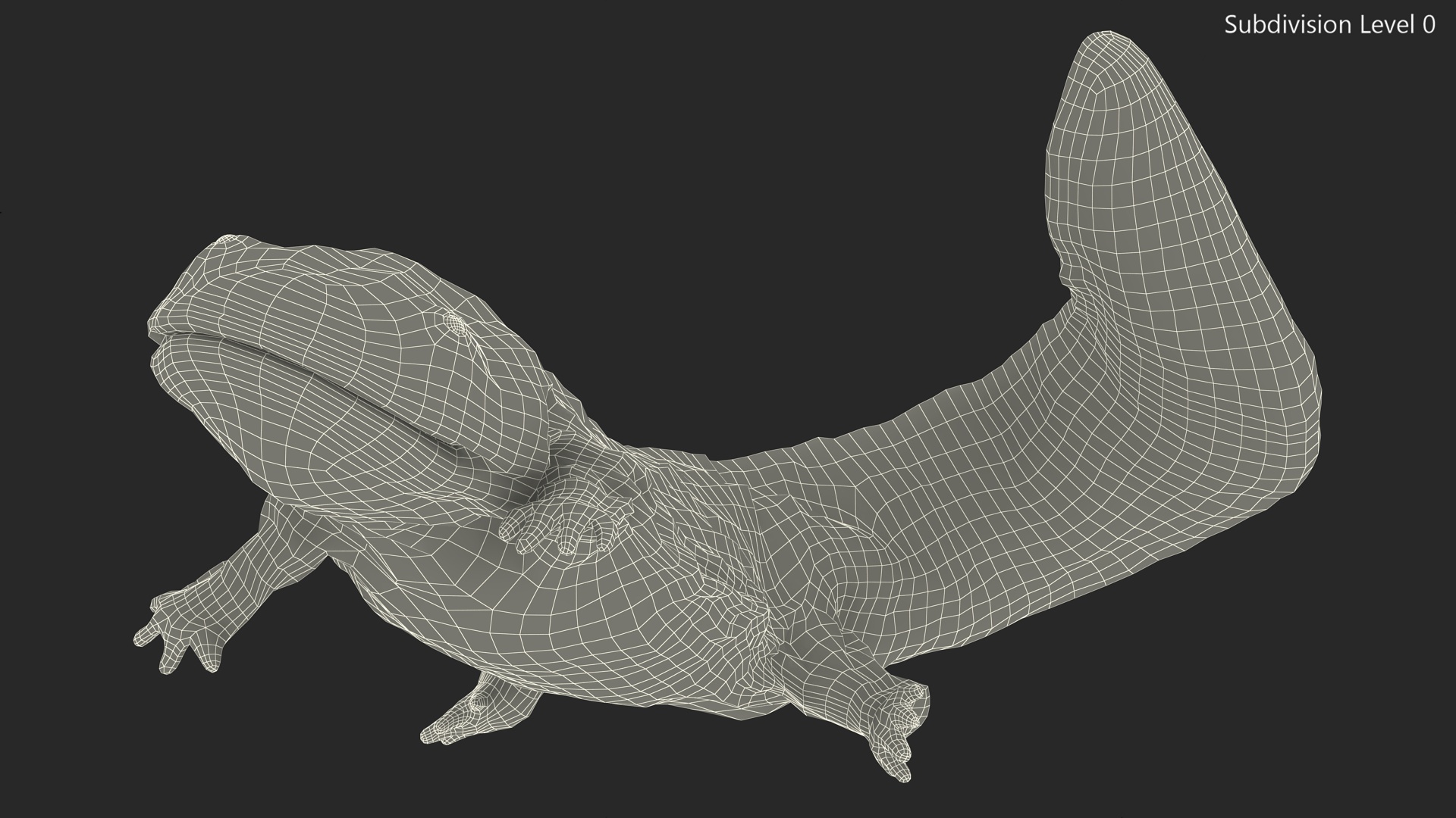 Giant Salamander Dark Wet Swimming 3D model
