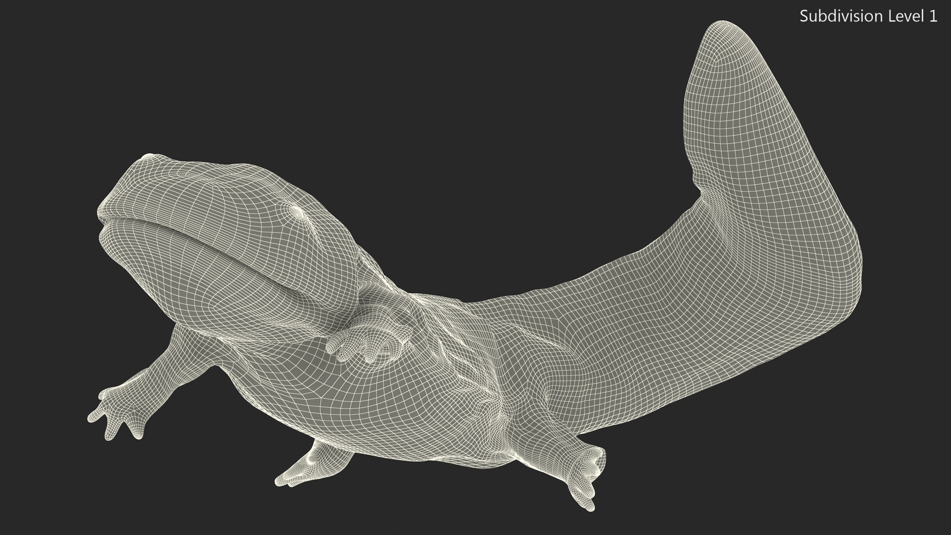 Giant Salamander Dark Wet Swimming 3D model