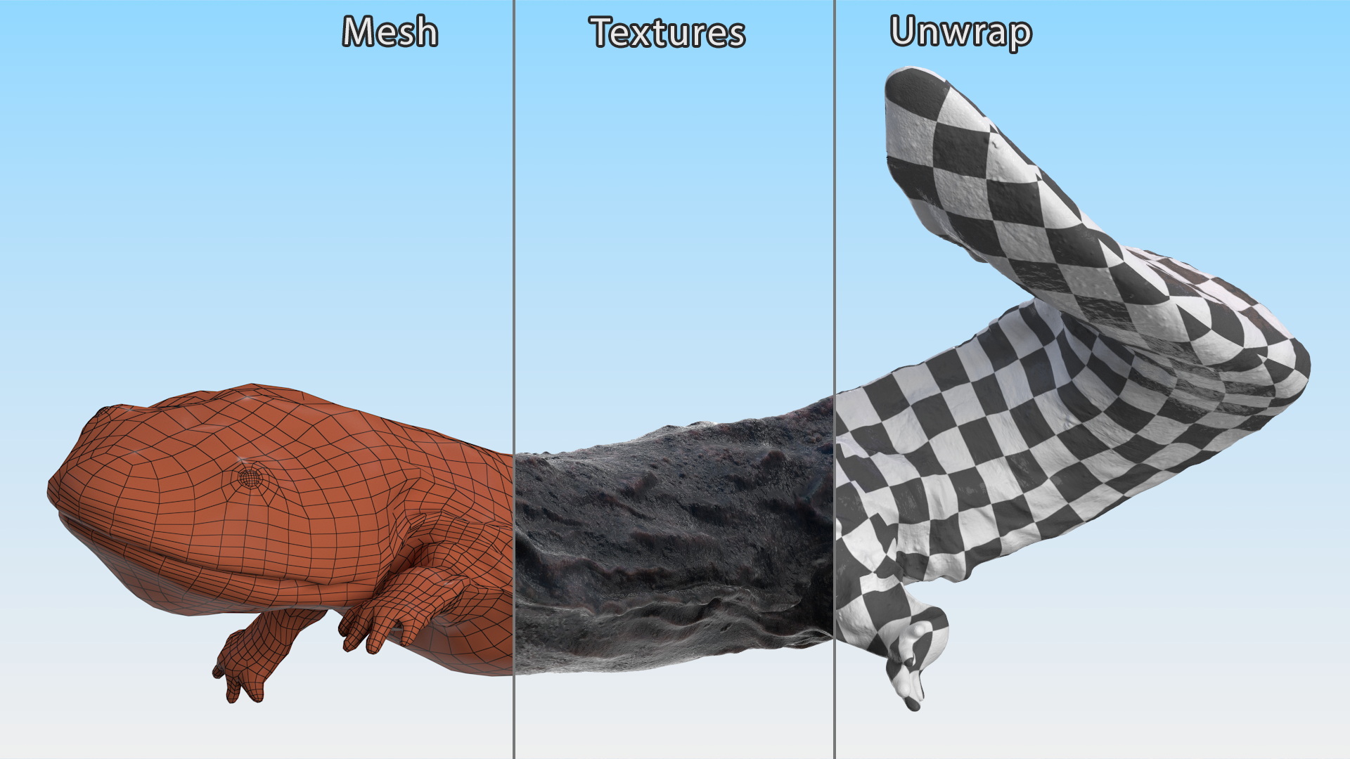 Giant Salamander Dark Wet Swimming 3D model