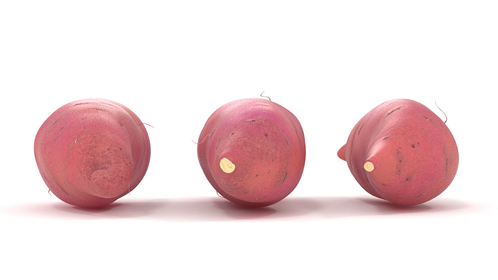 3D Sweet Potatoes Red model