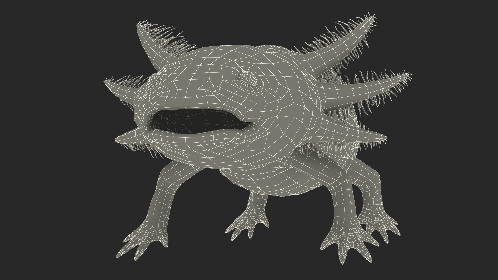 Mexican Brown Axolotl Rigged for Maya 3D