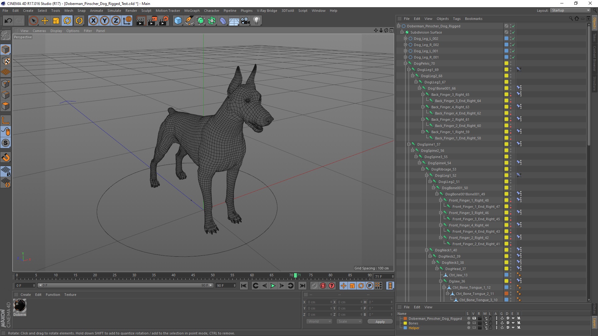 Doberman Pinscher Dog Rigged for Cinema 4D 3D