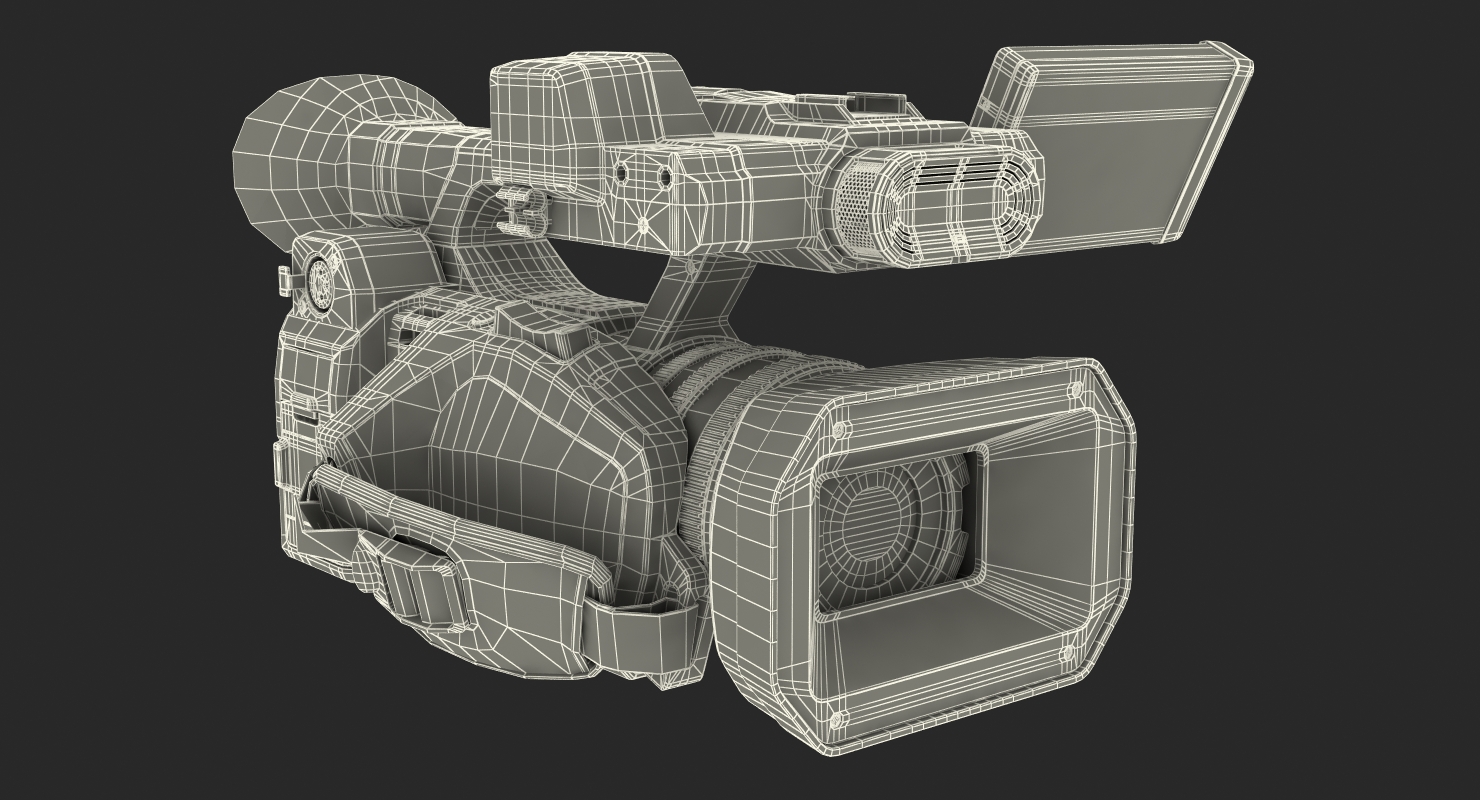 3D Full HD Camcorder Panasonic HC X1000 Rigged model