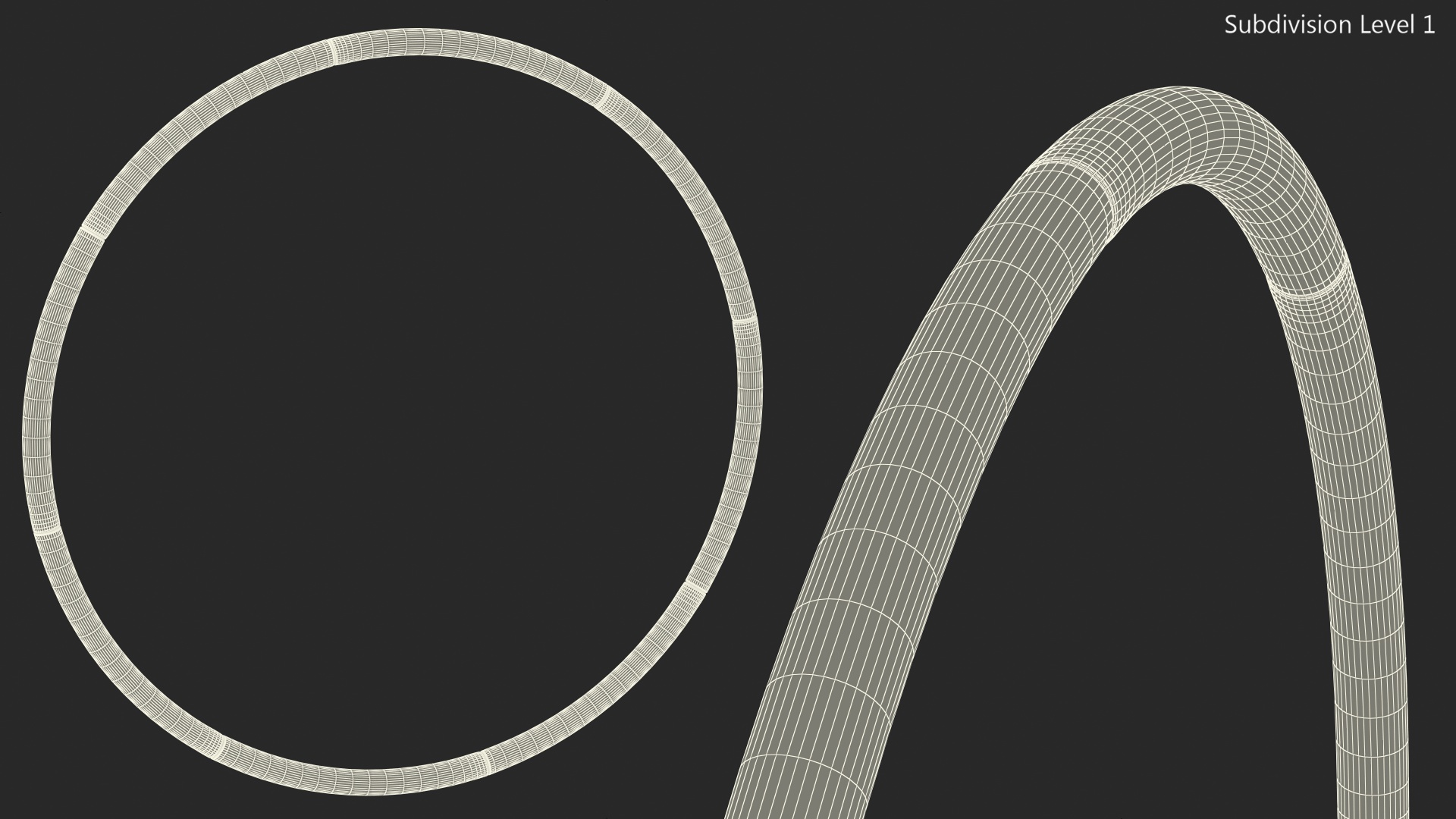 3D model Domyos Weighted Hula Hoop