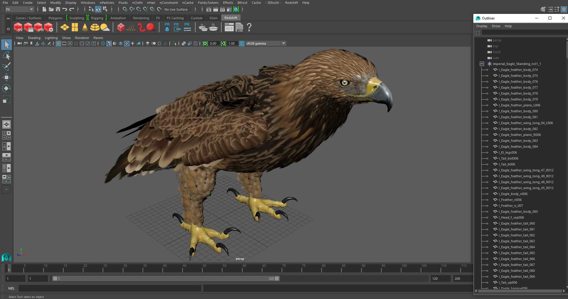 3D Imperial Eagle Standing model